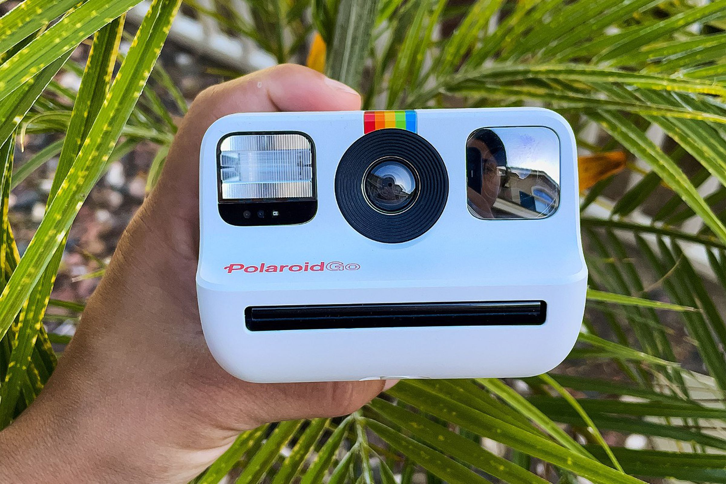The tiny white Polaroid Go held up against a palm tree.