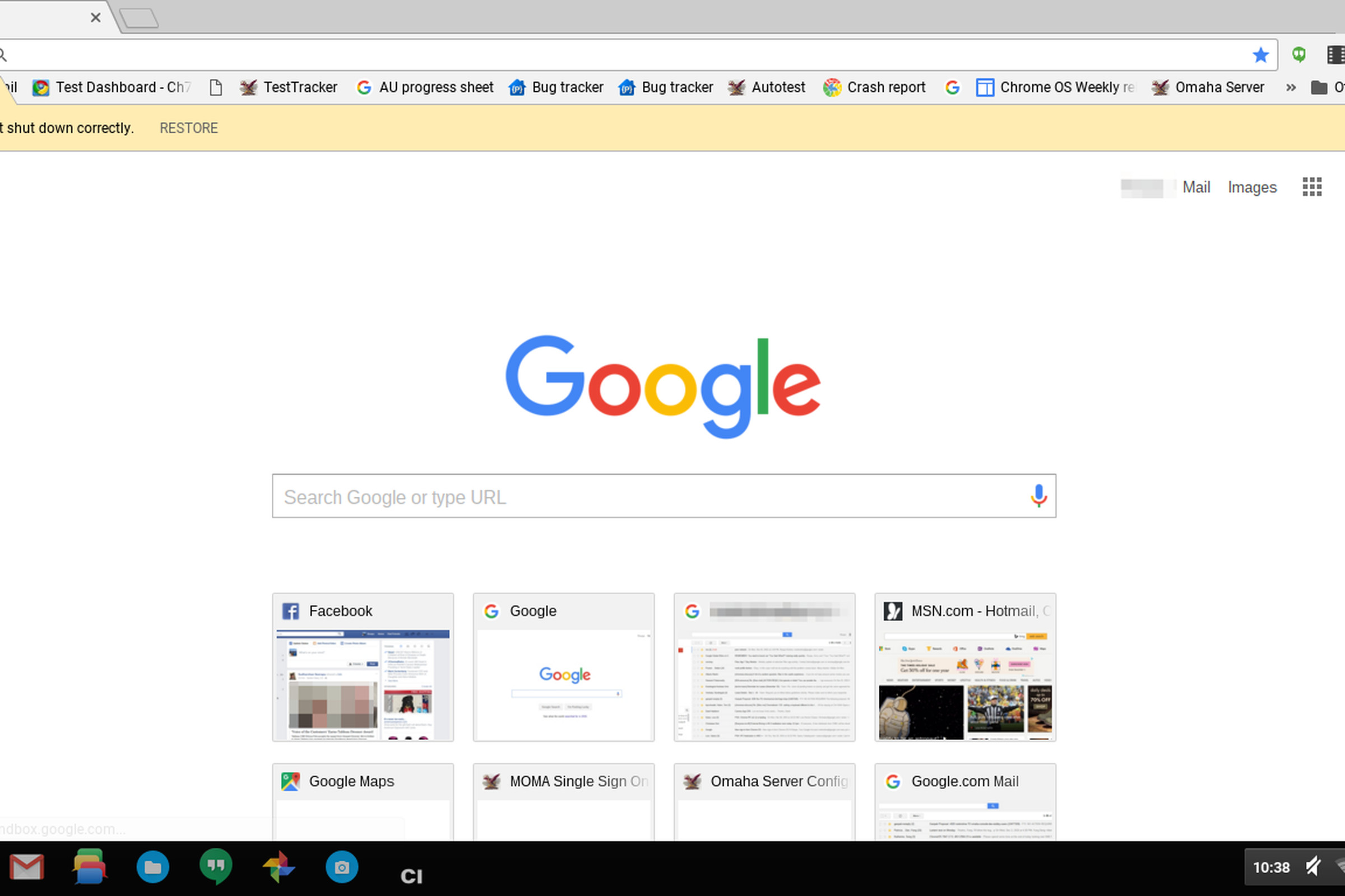 Google offline installer