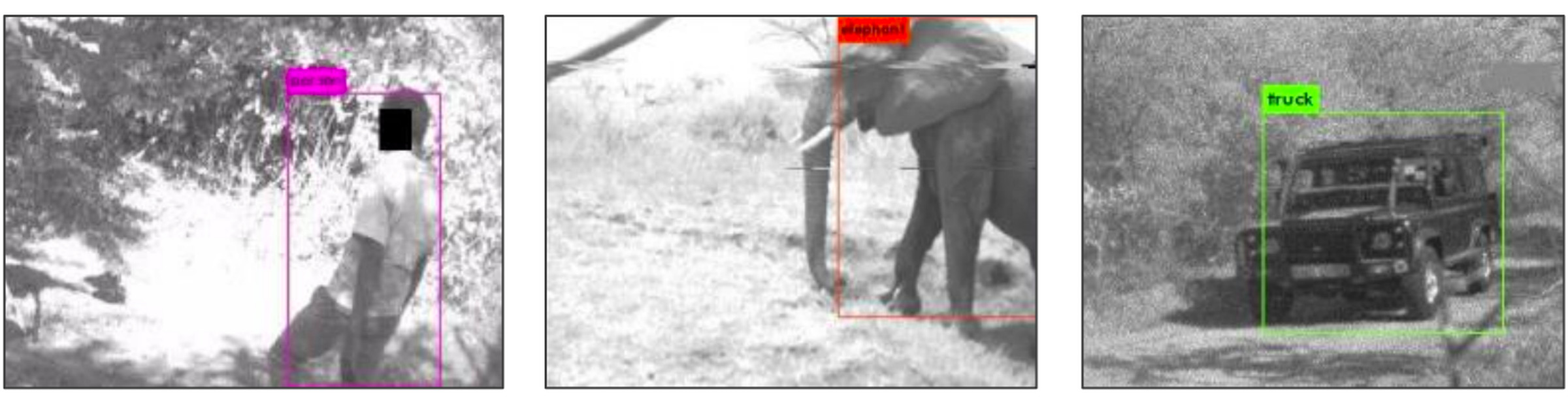 Example screenshots of the algorithm spotting a human, an elephant, and a vehicle. 