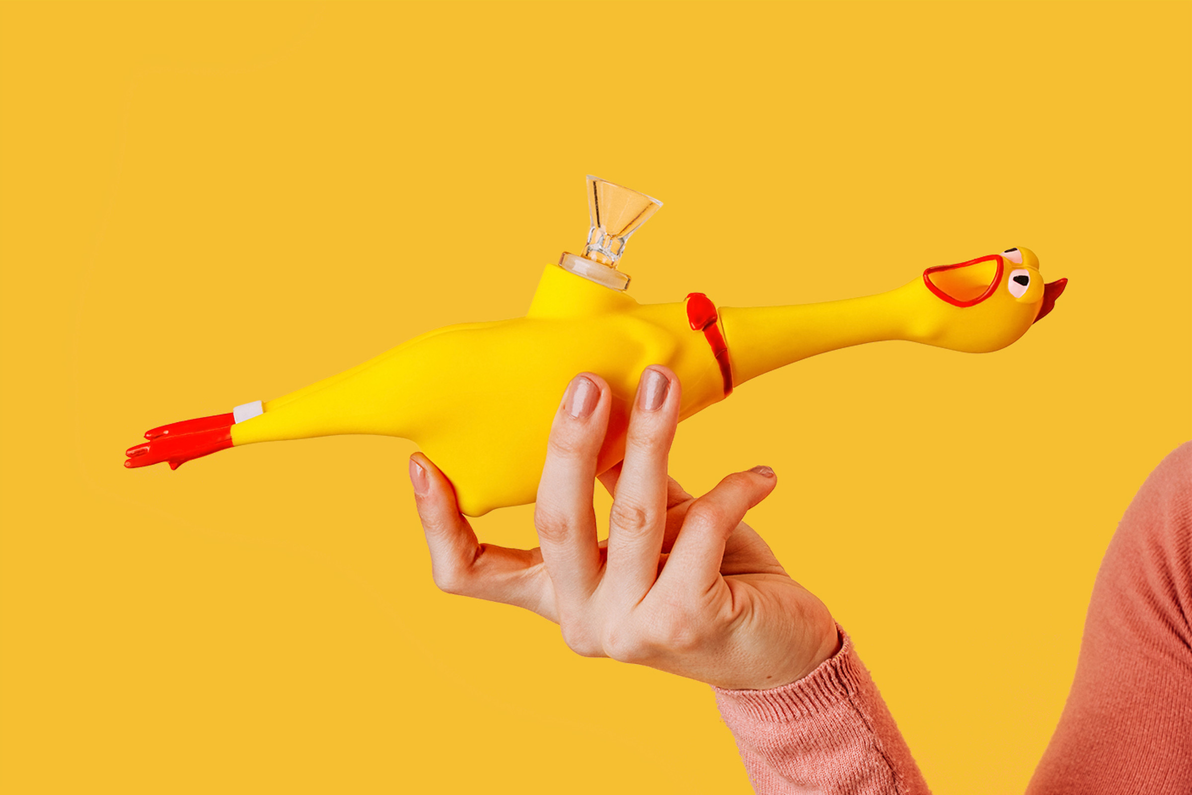 Close up of a hand holding a bong in the shape of yellow rubber chicken.