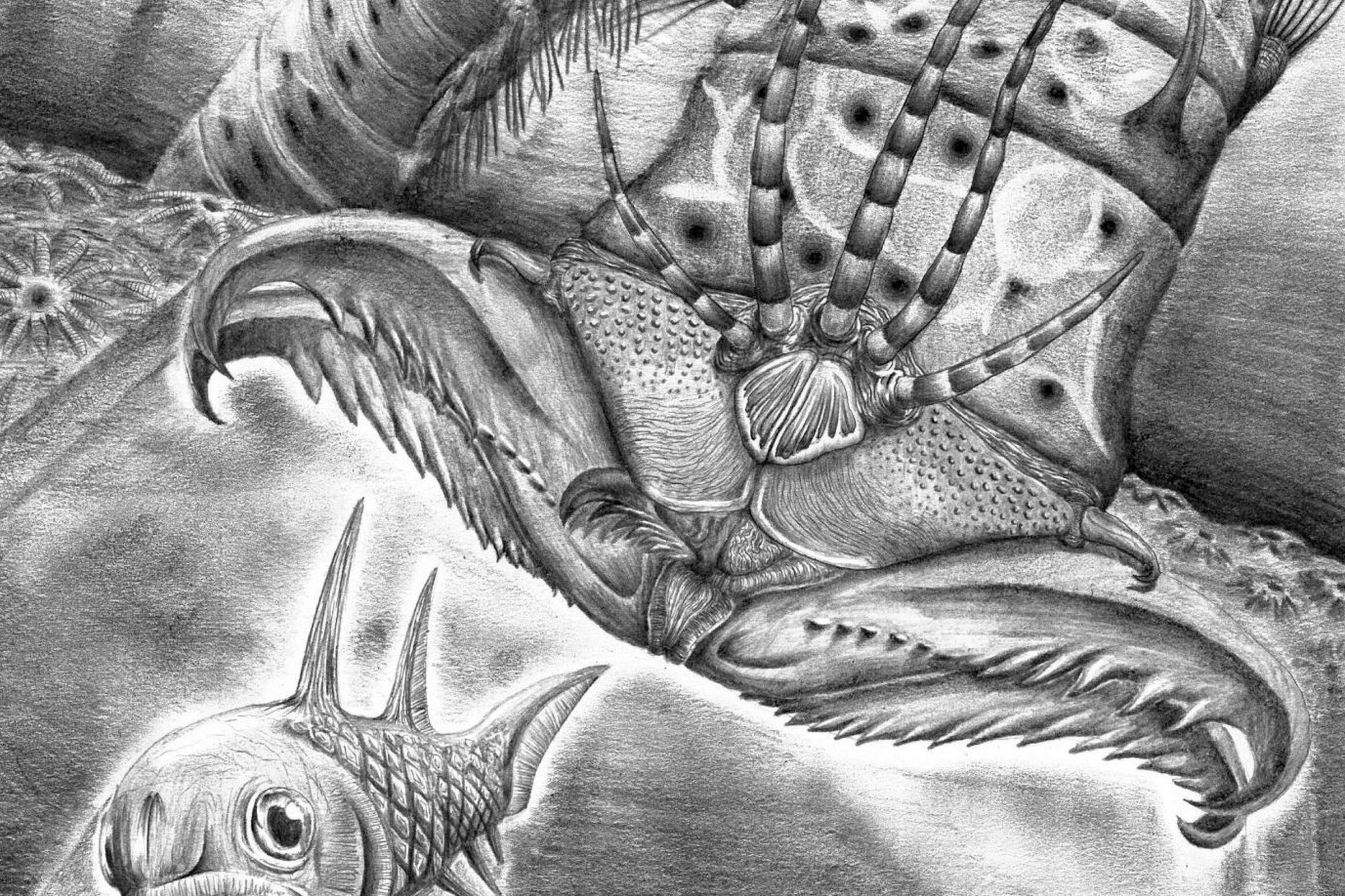 An artist’s rendering of W. armstrongi attacking a fish about 400 million years ago