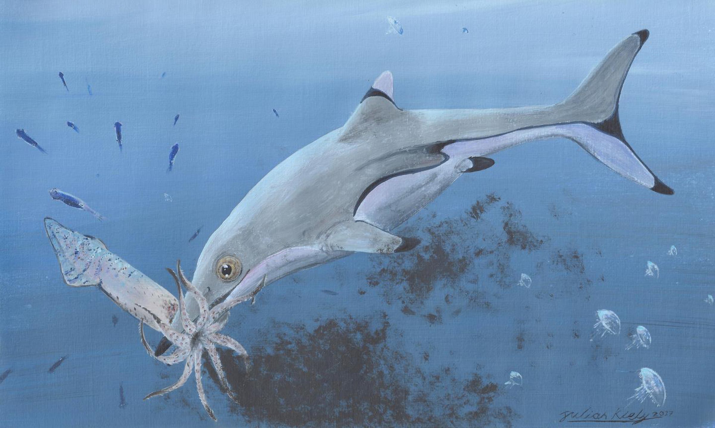 An artists depiction of a baby Ichthyosaurus communis chowing down on squid. Ichthyosaurs may have looked like dolphins or fish — but really they were ancient marine reptiles. 
