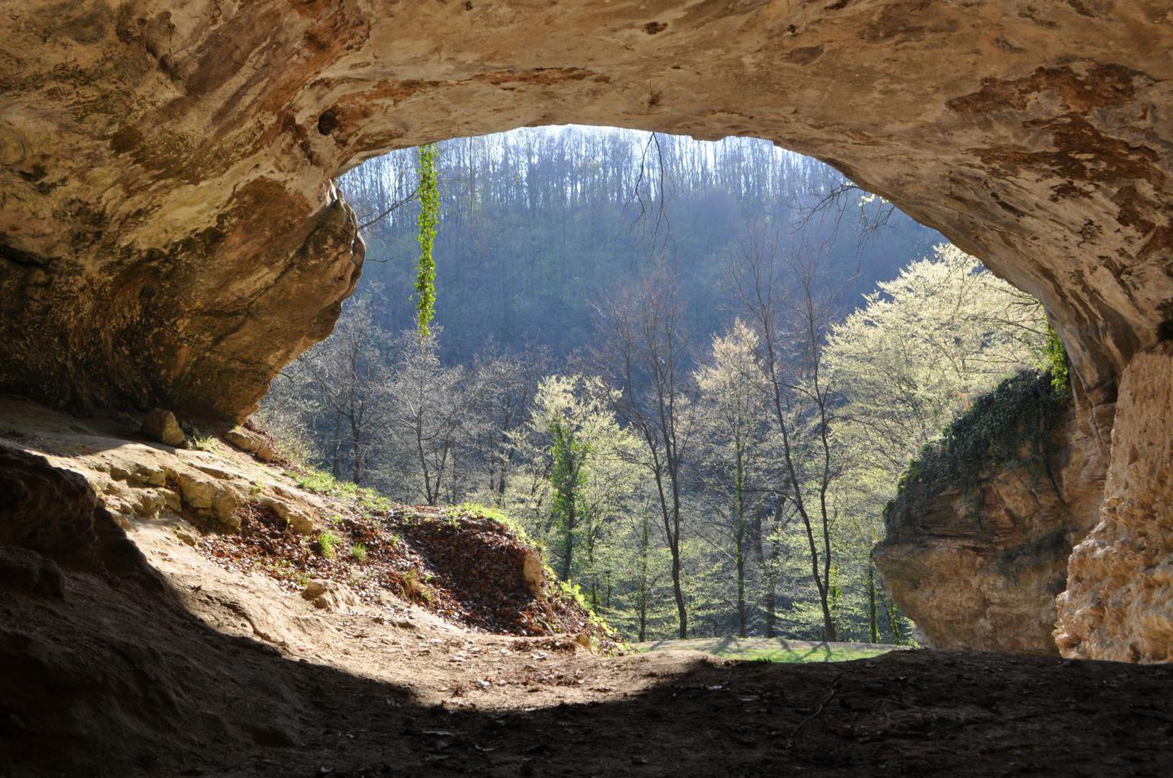Vindija Cave, Croatia.