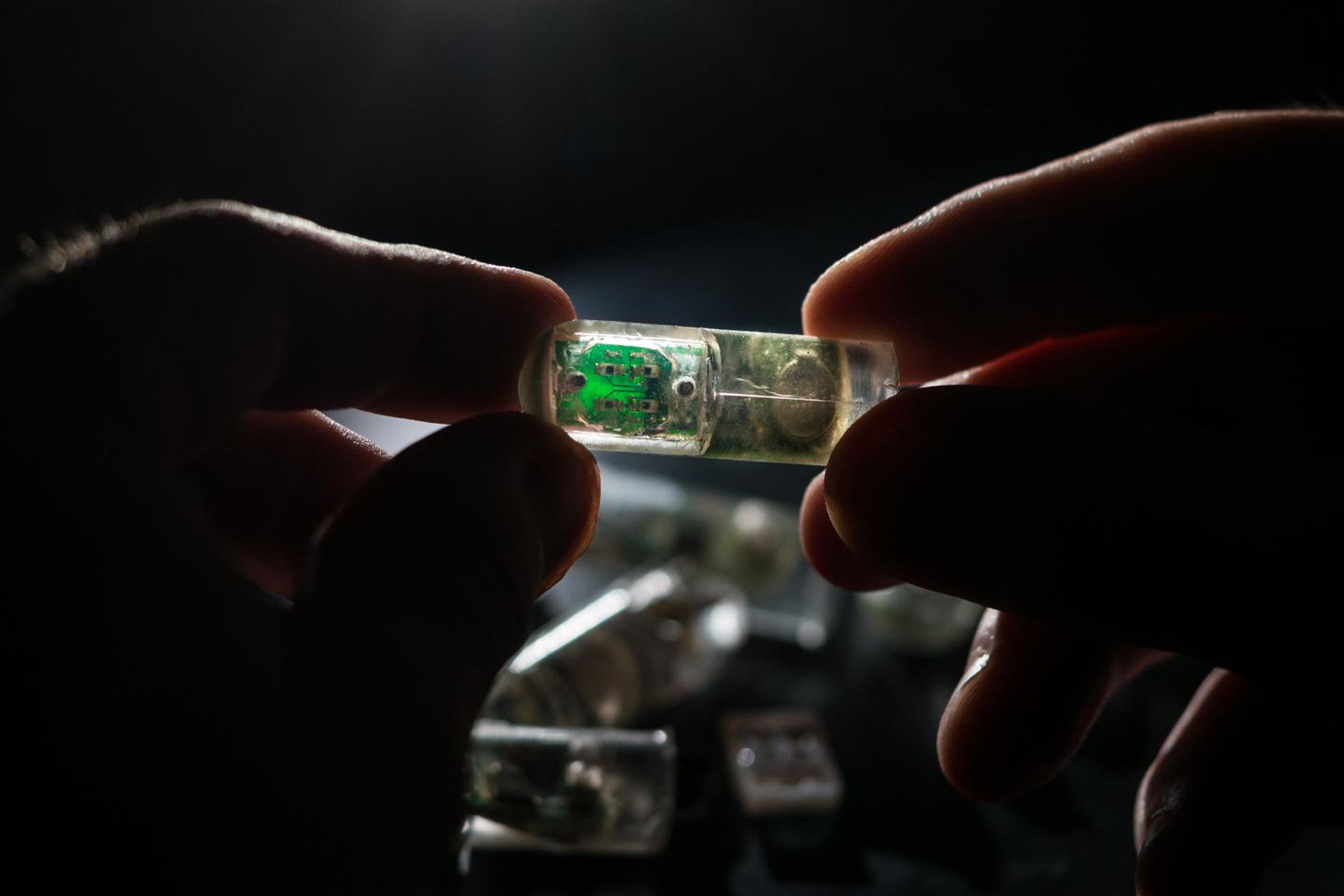 This ingestible sensor has bacteria inside that is programmed to sense blood in the gut, and then wirelessly deliver that information.