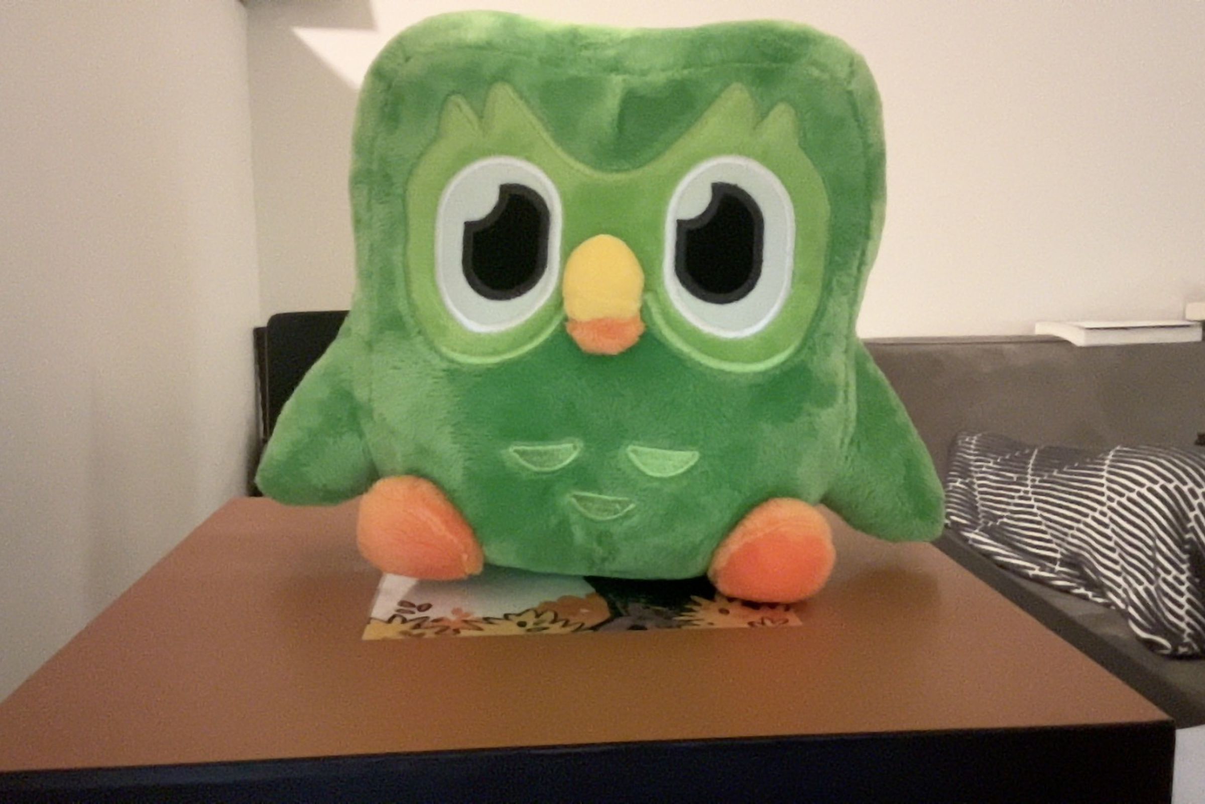 A screenshot of a photo of a Duolingo owl plushie through Continuity Camera.
