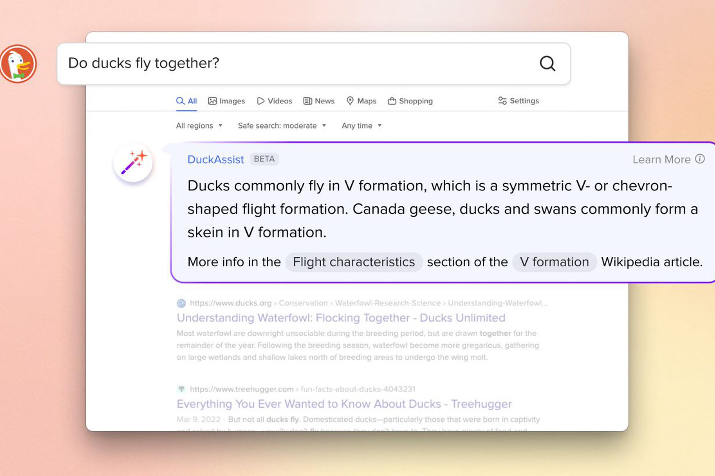 An image showing someone searching “Do ducks fly together?” in DuckDuckGo with an answer from DuckAssist