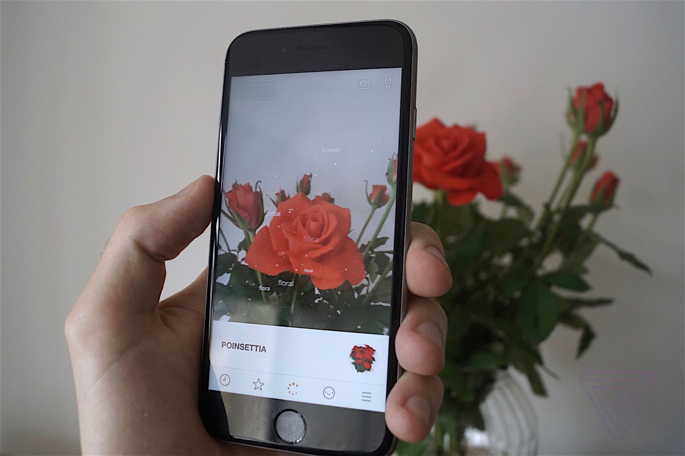 Blippar’s current app is fast but hit and miss. Here it is identifying some roses as poinsettias.