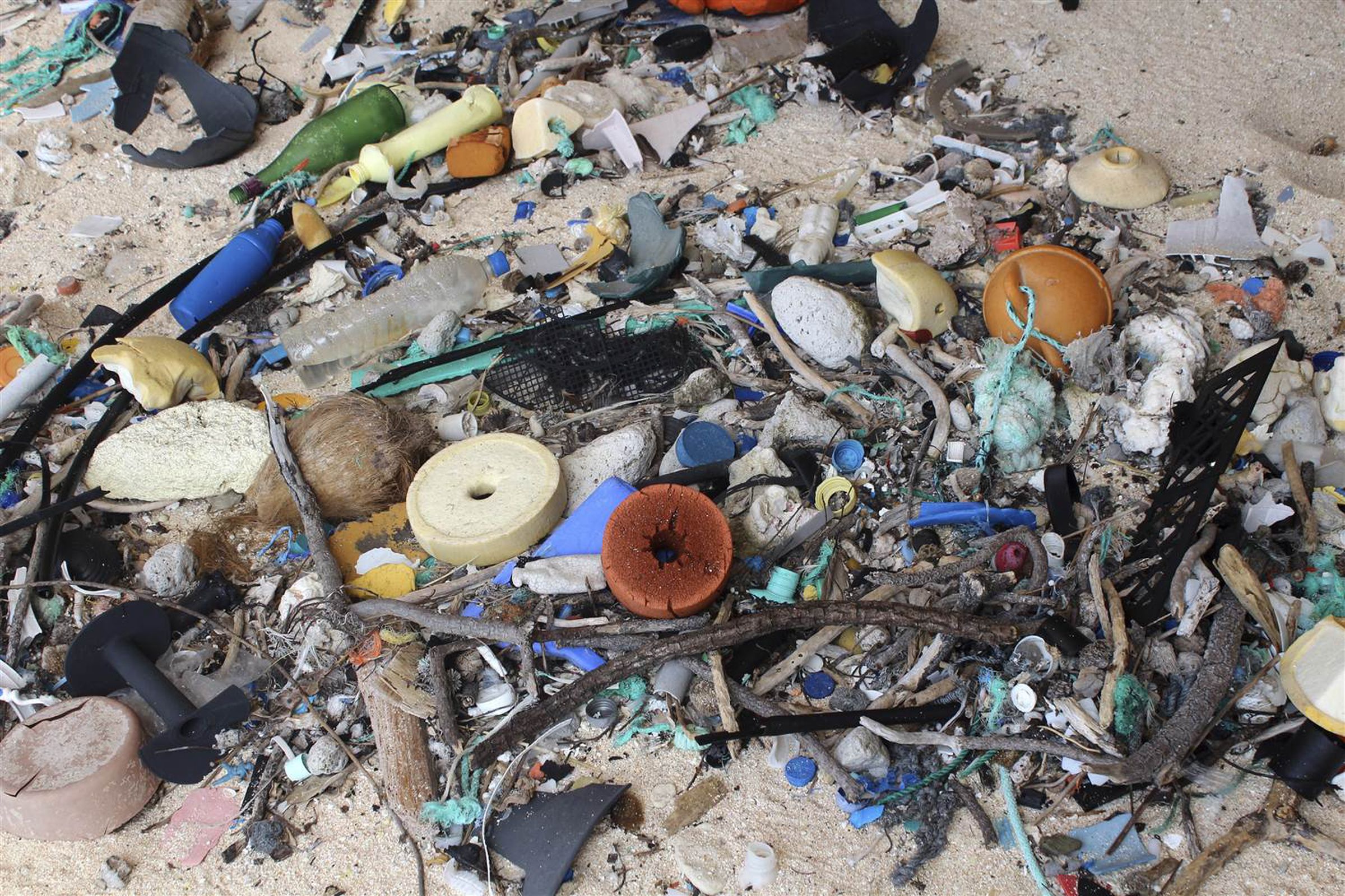 Plastic debris on Henderson Island