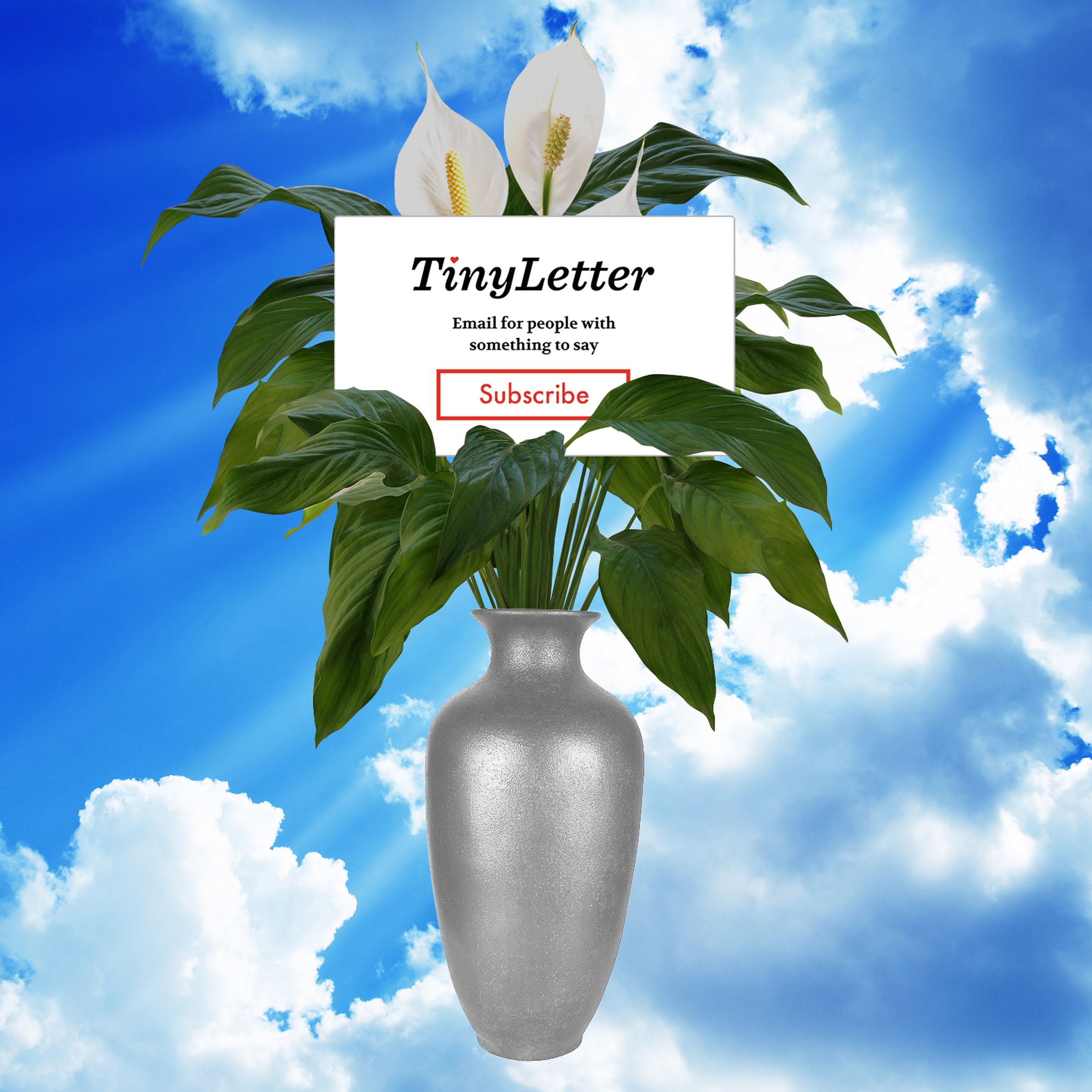 Photo illustration of a TinyLetter subscribe box as the card in a funerary floral arrangement. 
