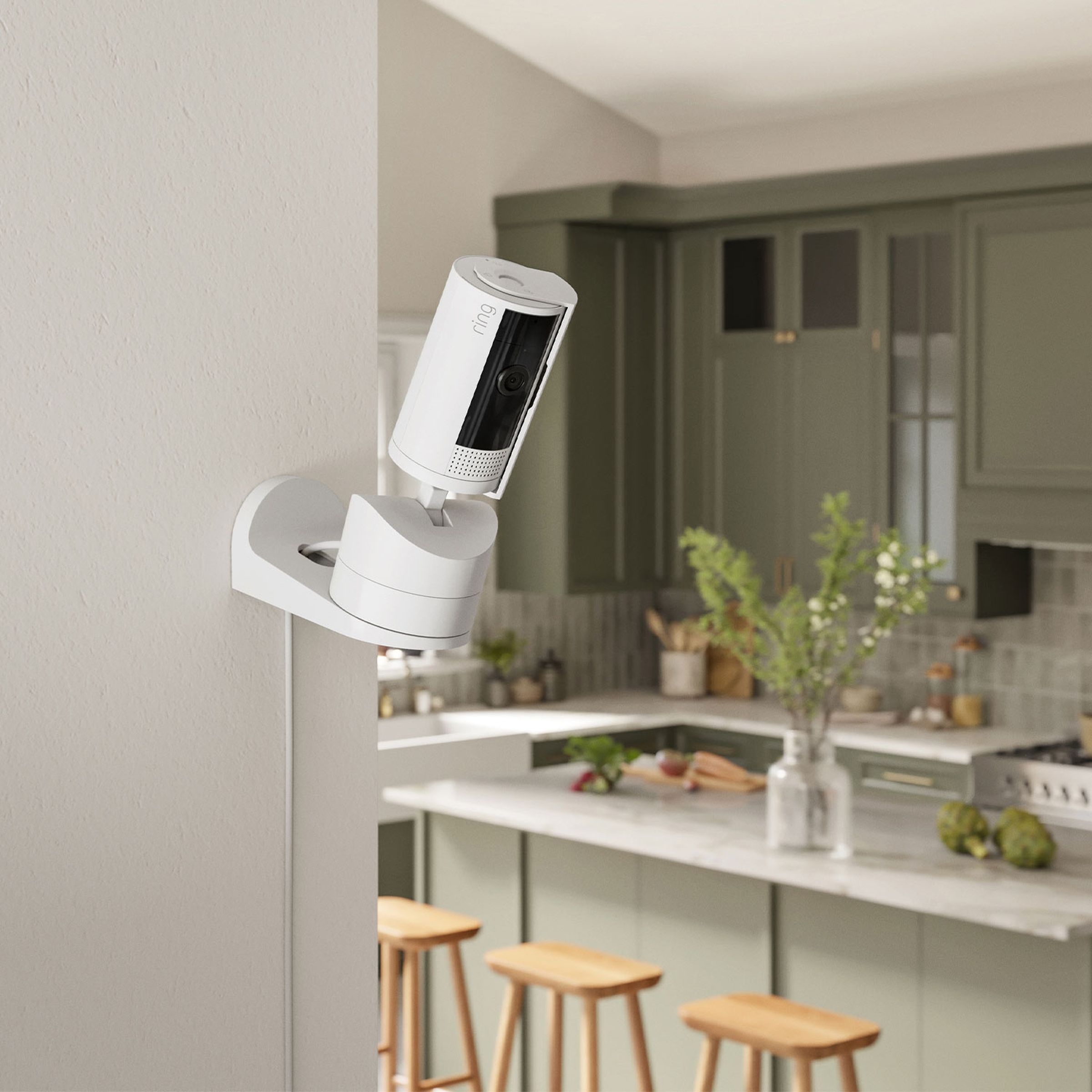 <em>The pan-tilt cam comes with two mounts, a ceiling and wall mount.</em>