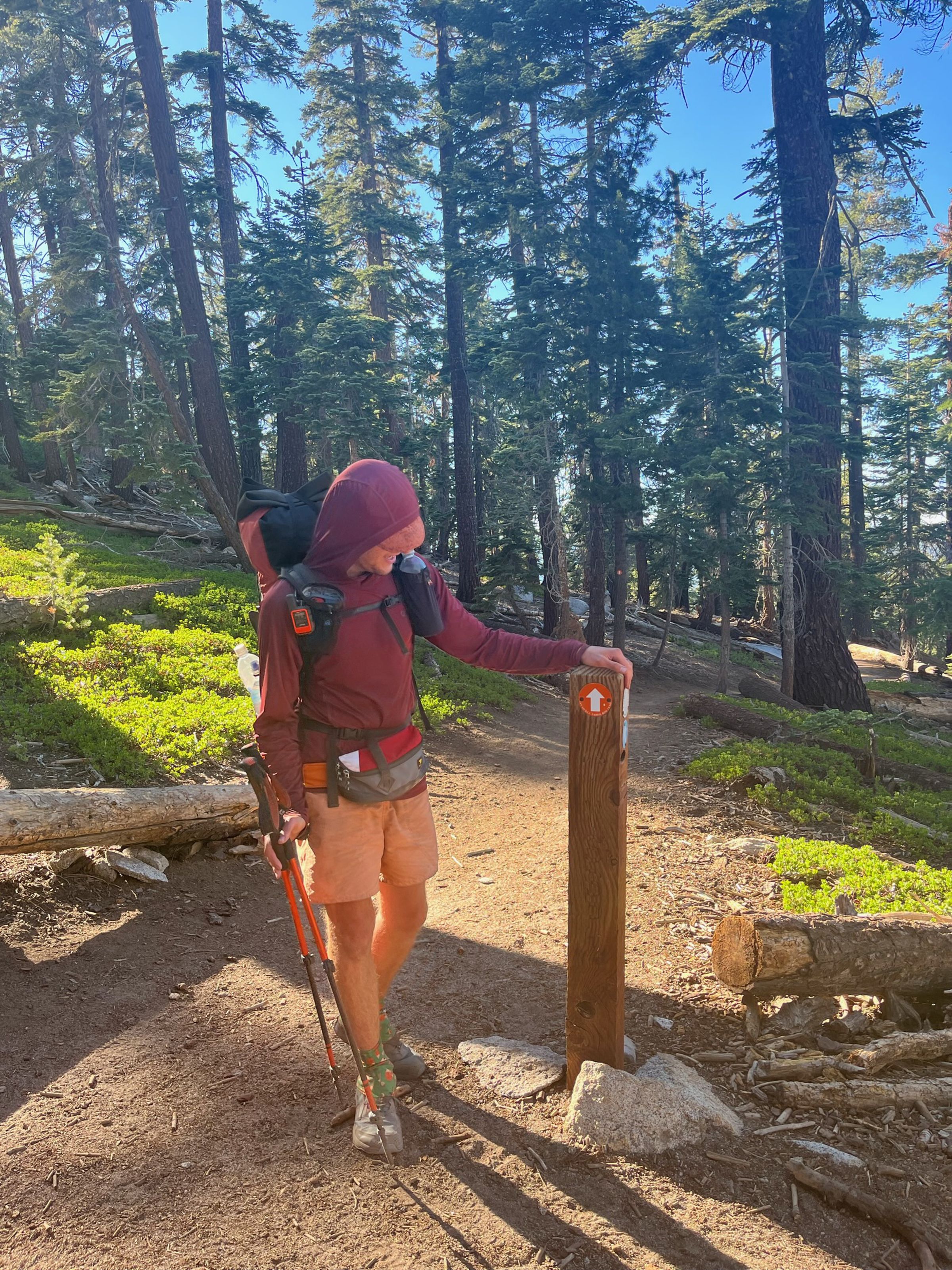 Photo of a hiker standing in a hooded shirt holding trekking poles.