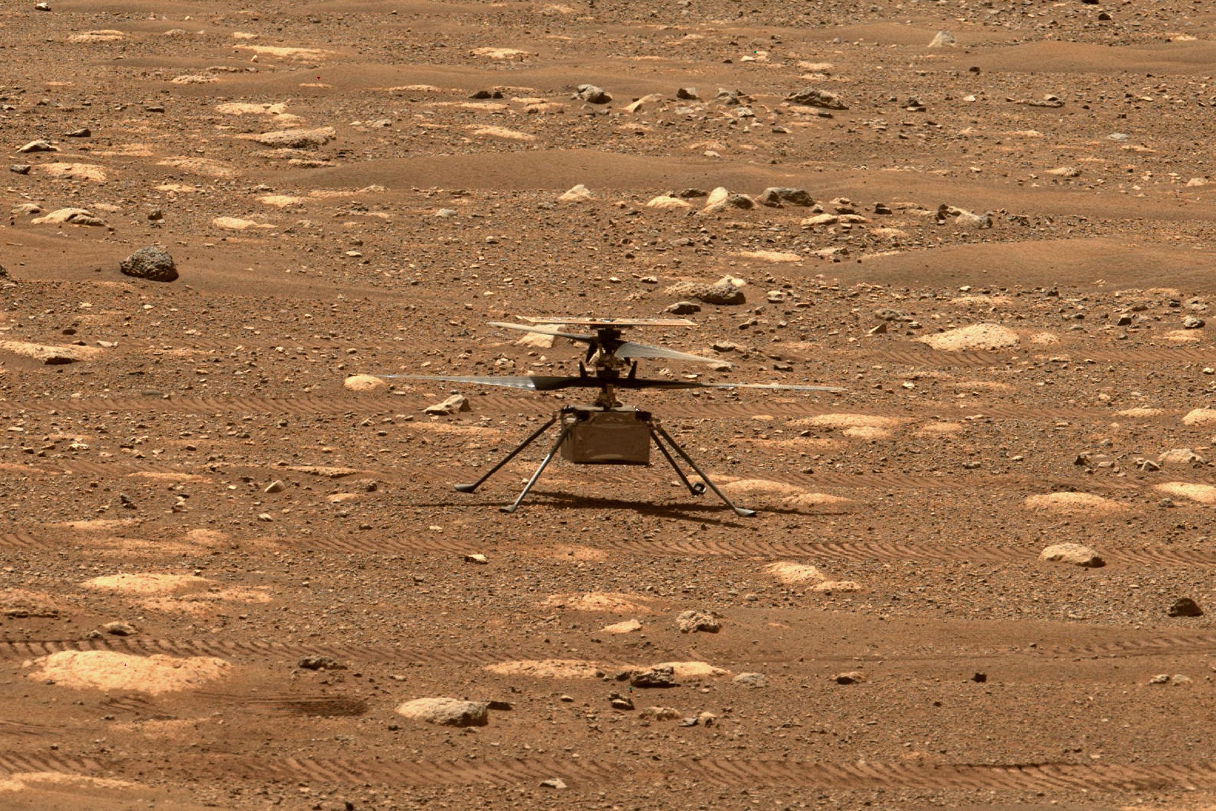 A tiny helicopter standing on four skinny legs on the dusty red Martian surface. 