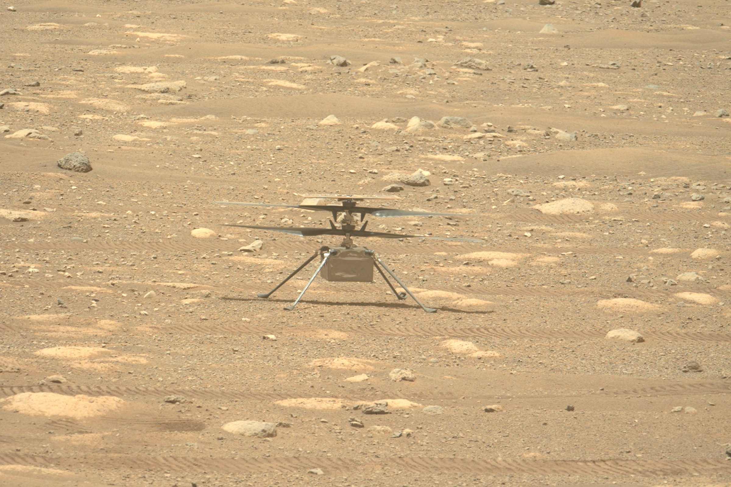 NASA’s Ingenuity helicopter stands prepped and set for its debut flight on Mars.