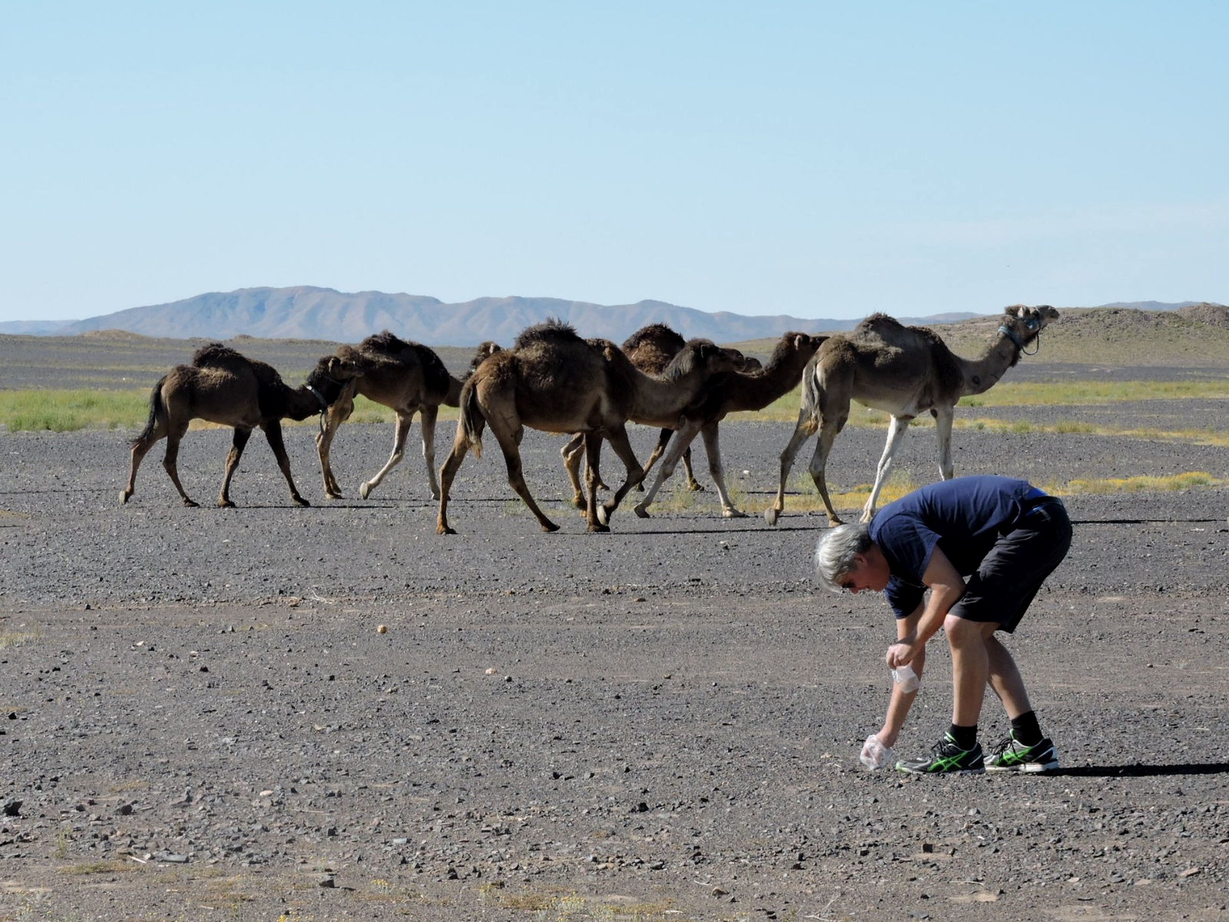 Jon Larsen searching for micrometeorites in the Sahara Desert.