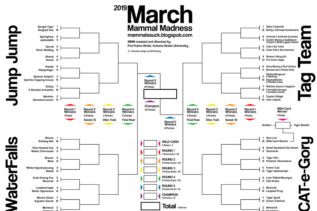 March Mammal Madness is the bracket for animal lovers everywhere The