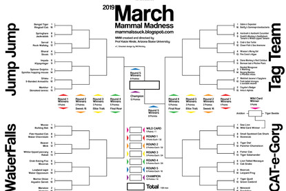 March Mammal Madness is the bracket for animal lovers everywhere - The