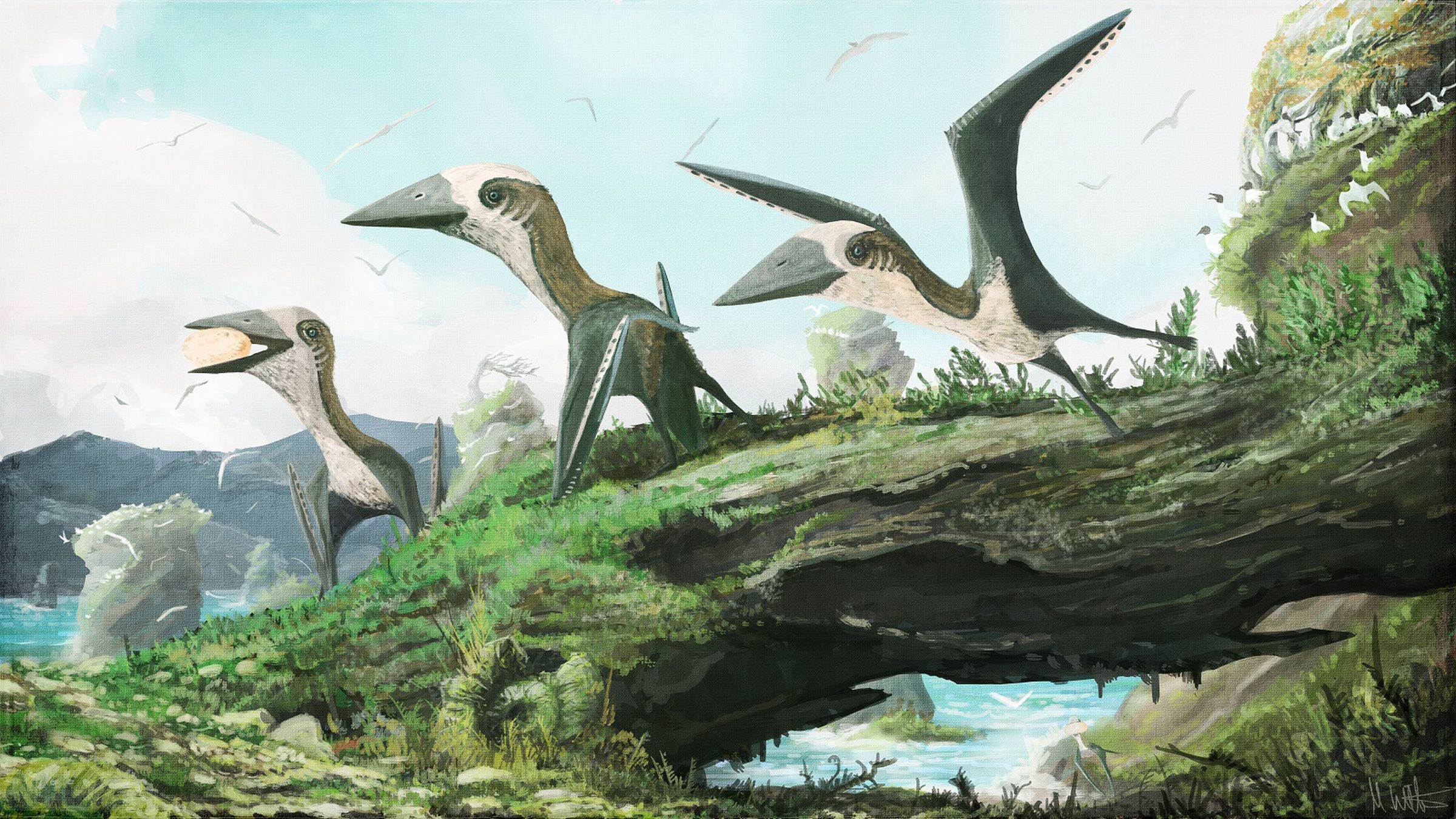 Life restoration of the small-bodied, Late Cretaceous pterosaur from Hornby Island.