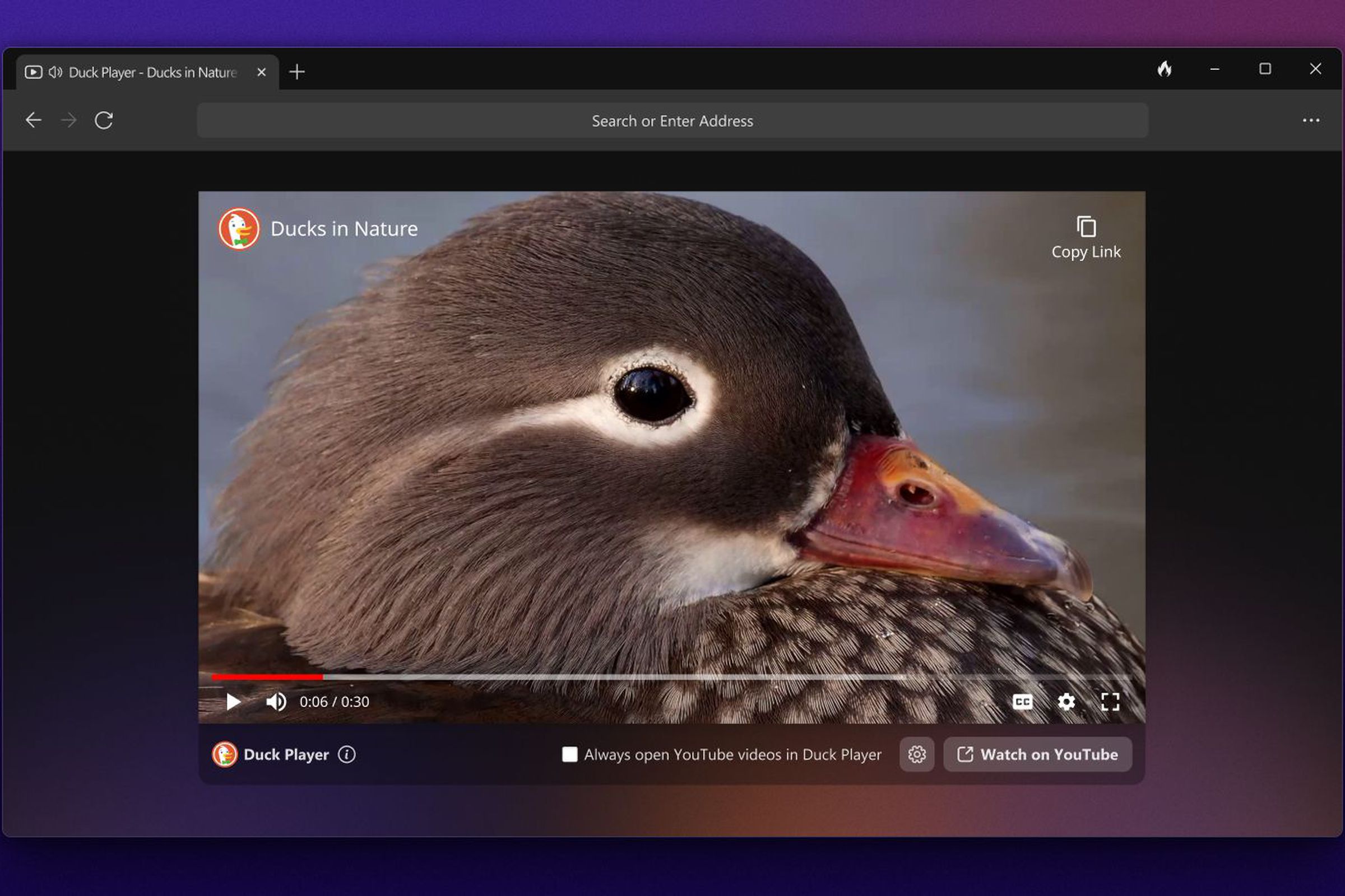 A screenshot of the DuckDuckGo browser on Windows.