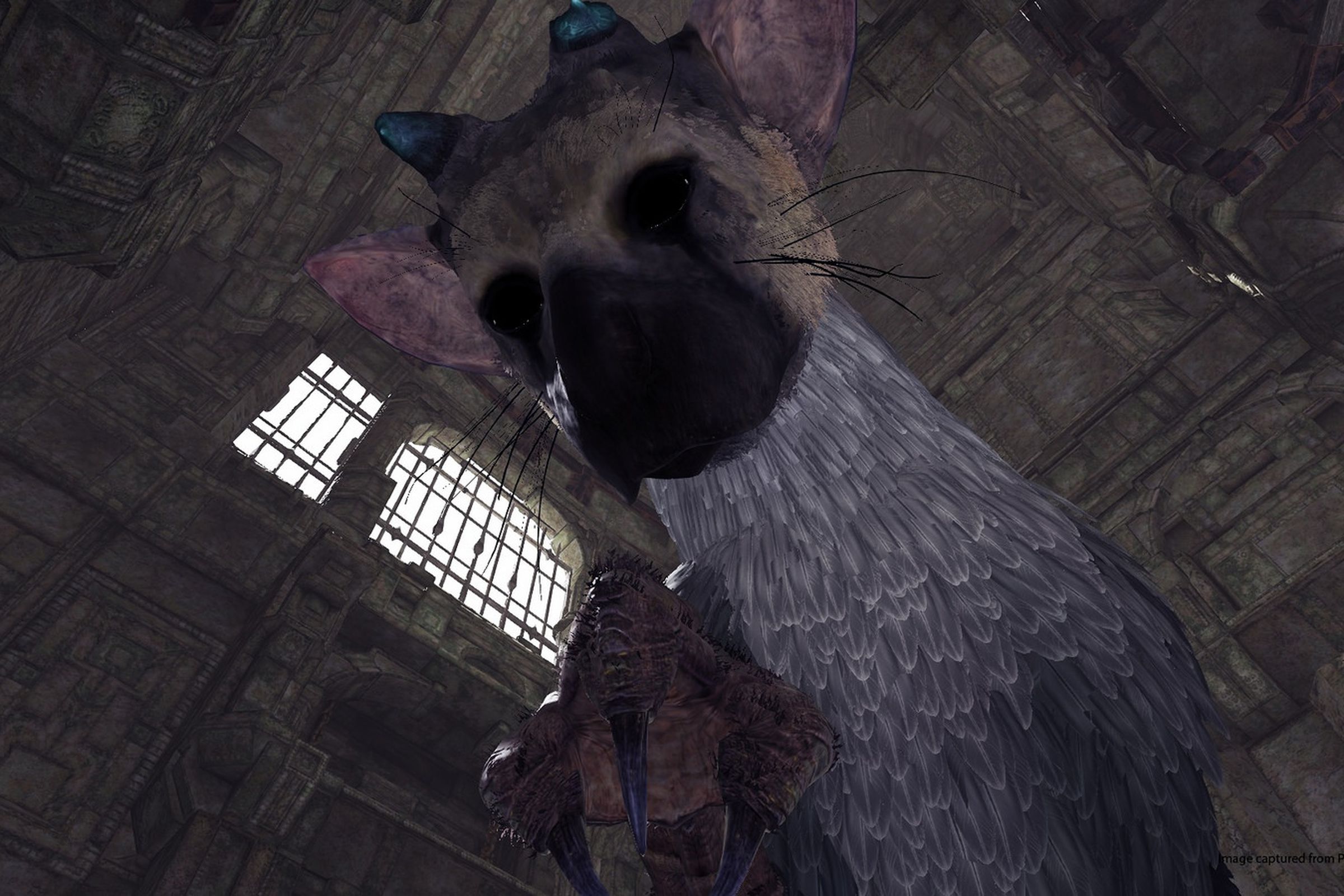 The Last Guardian VR