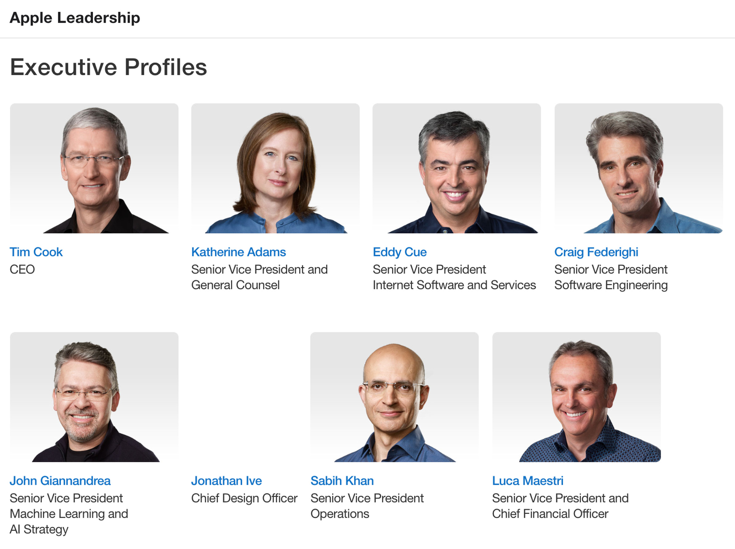 Apple’s Leadership page as of 26 nov 2019 11:12:55 GMT (via Google cache). Ive has been completely removed as of today.