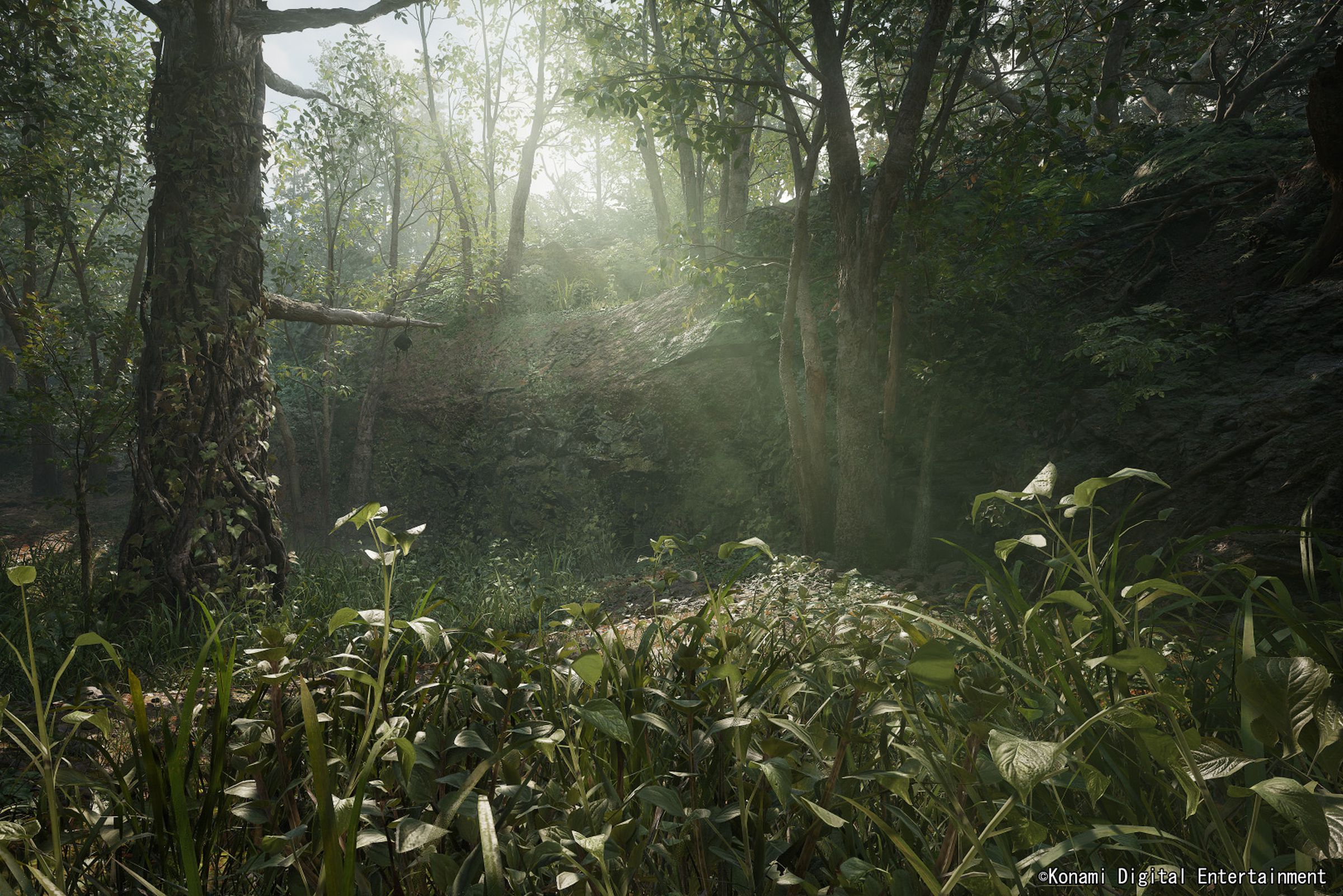 A screenshot from Konami’s MGS3 remake showing a lush forest.