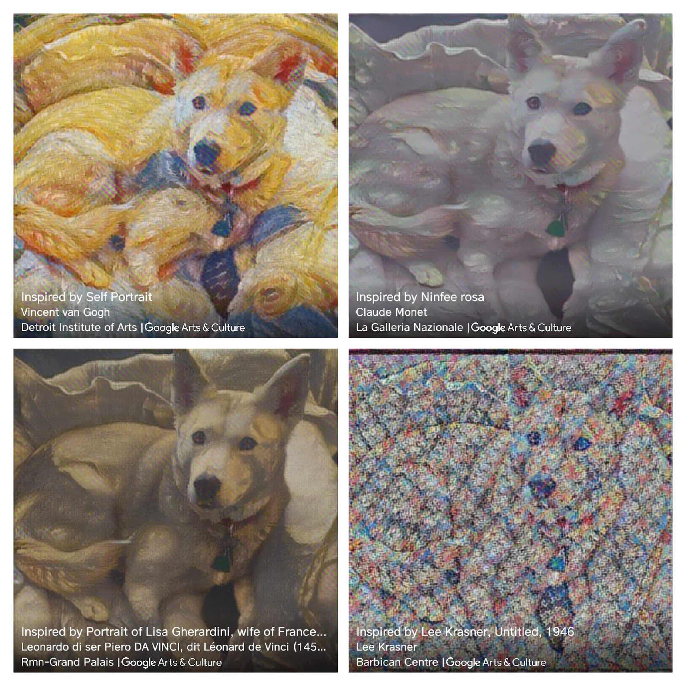Zelda the dog styled as (clockwise from top) a van Gogh, a Monet, a da Vinci, and a Krasner.