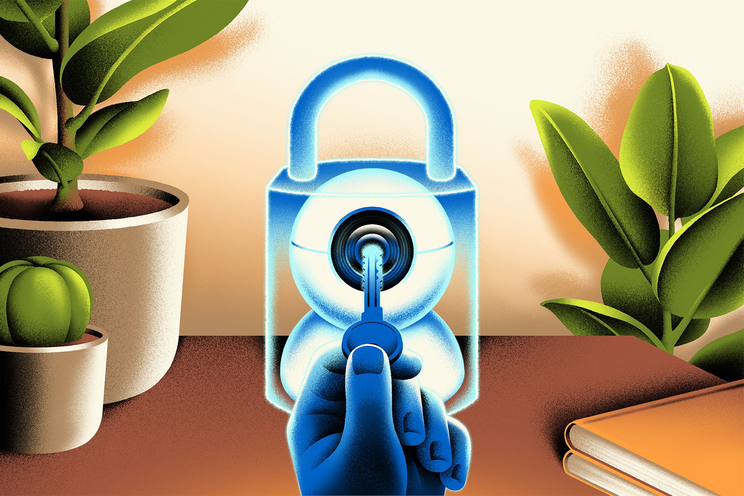 Illustration showing a security camera encased in a lock.