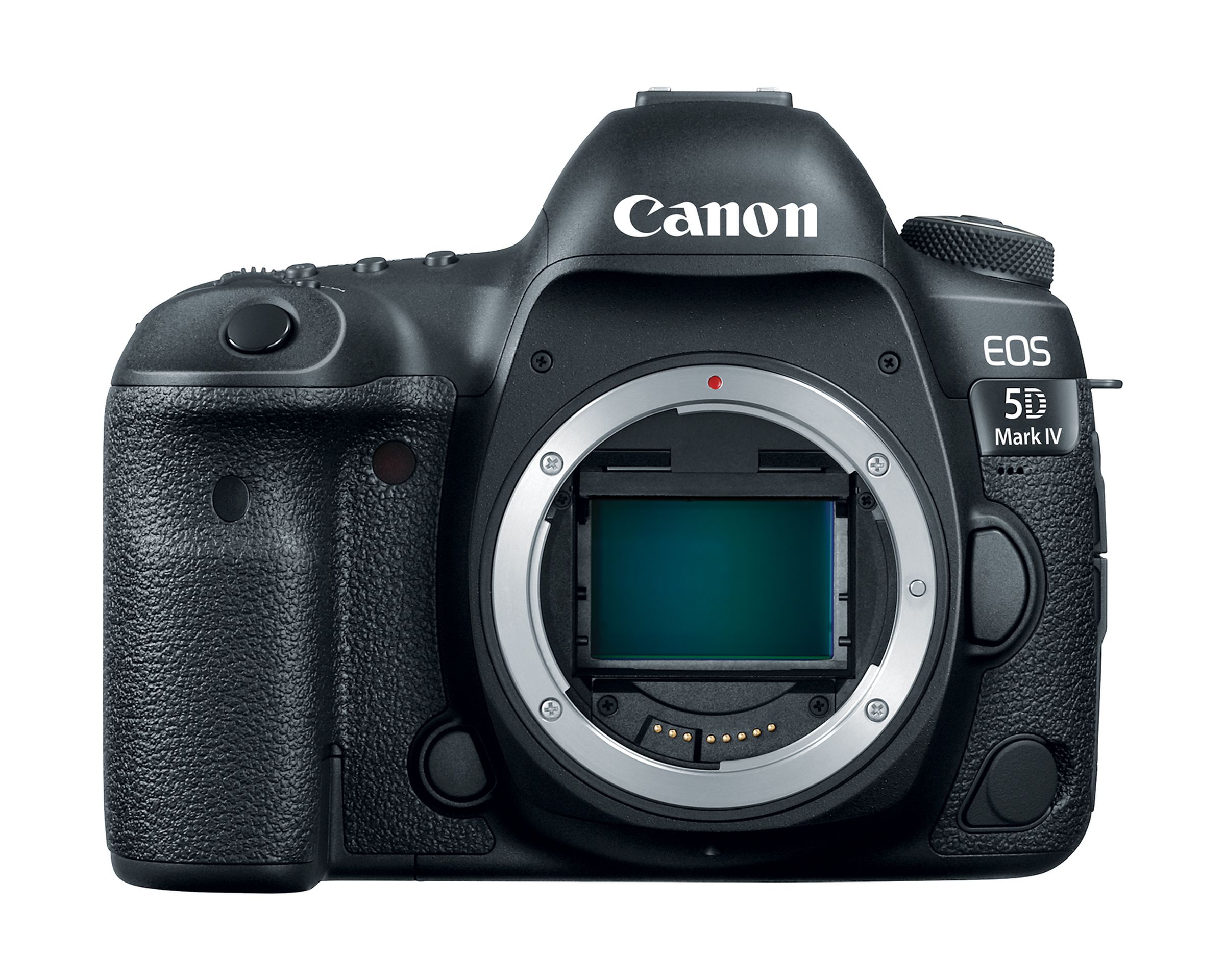 Canon 5D Mark IV in photos