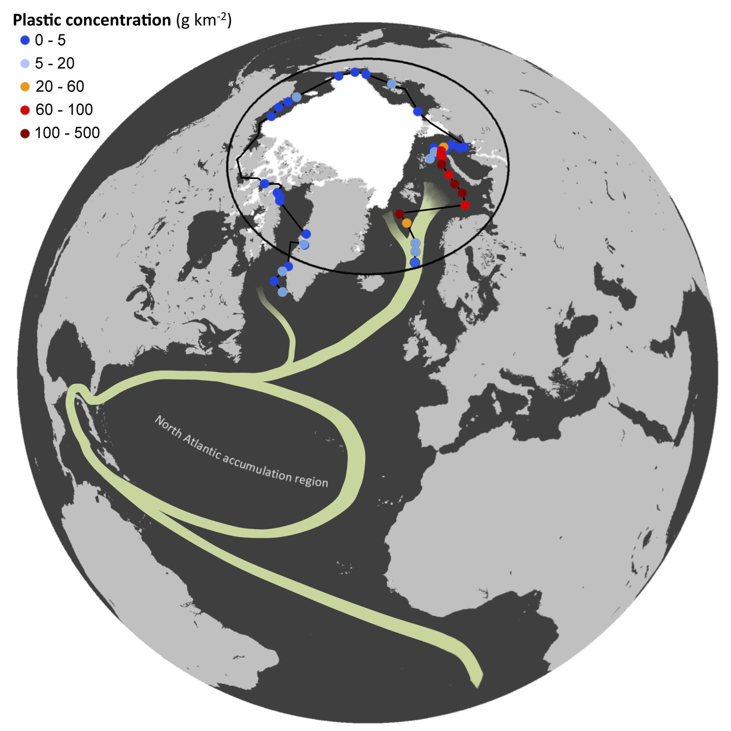 The colored dots indicate where the expedition collected samples. The white section is the polar ice cap. The green lines are currents: the North Atlantic Subtropical Ocean Gyre and the Global Thermohaline Circulation. Image by Andres Cozar.