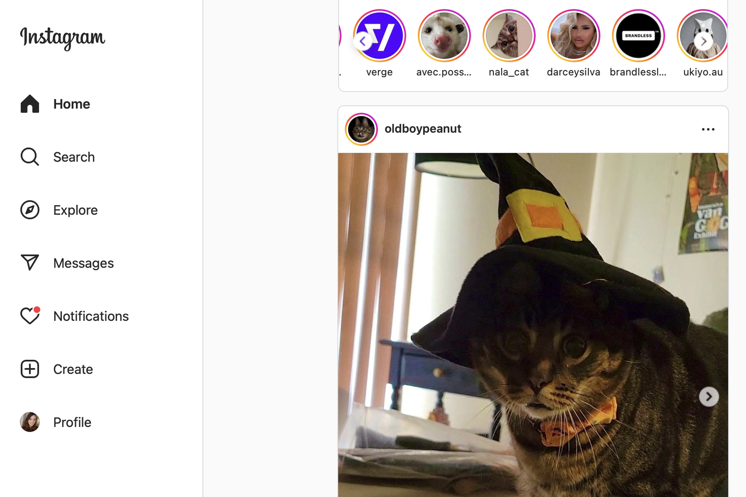 Screenshot of the new Instagram for web design, which features a sidebar navigation scheme.