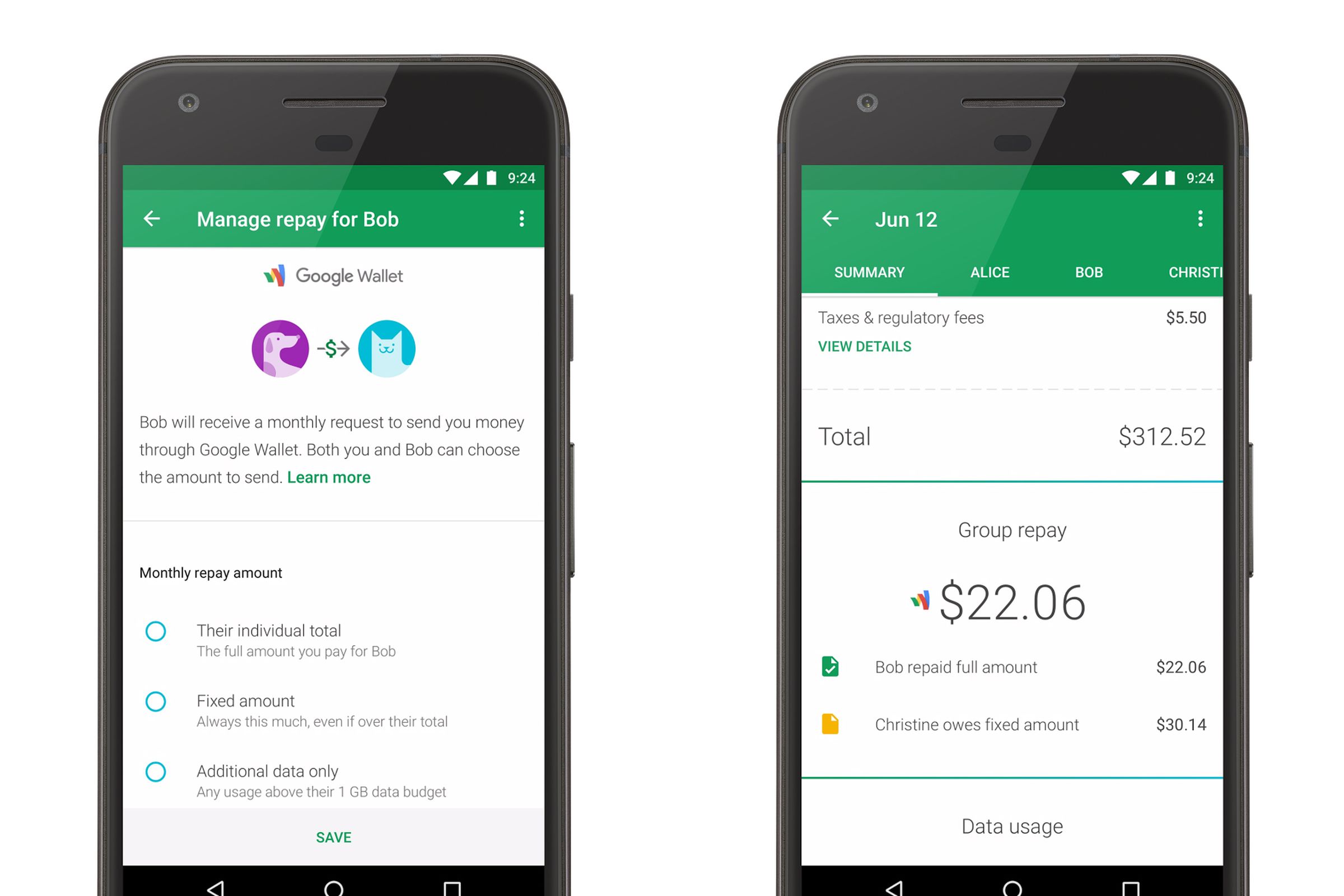 Project fi group repay