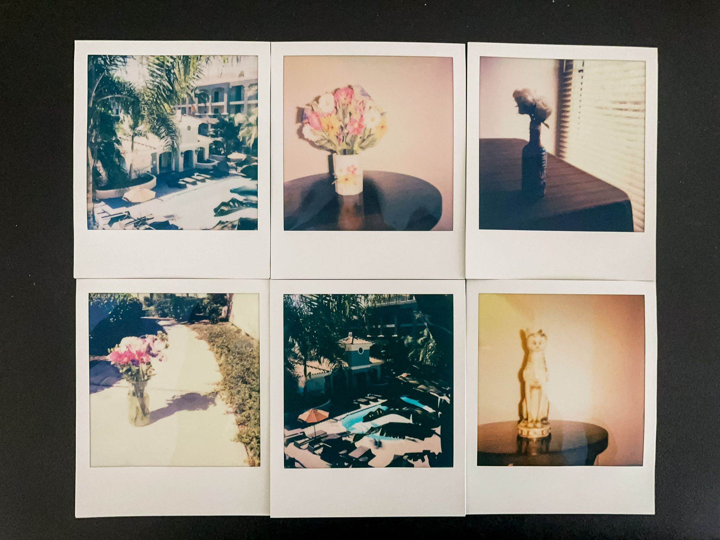 Six photos produced by the second-gen Polaroid Now Plus.
