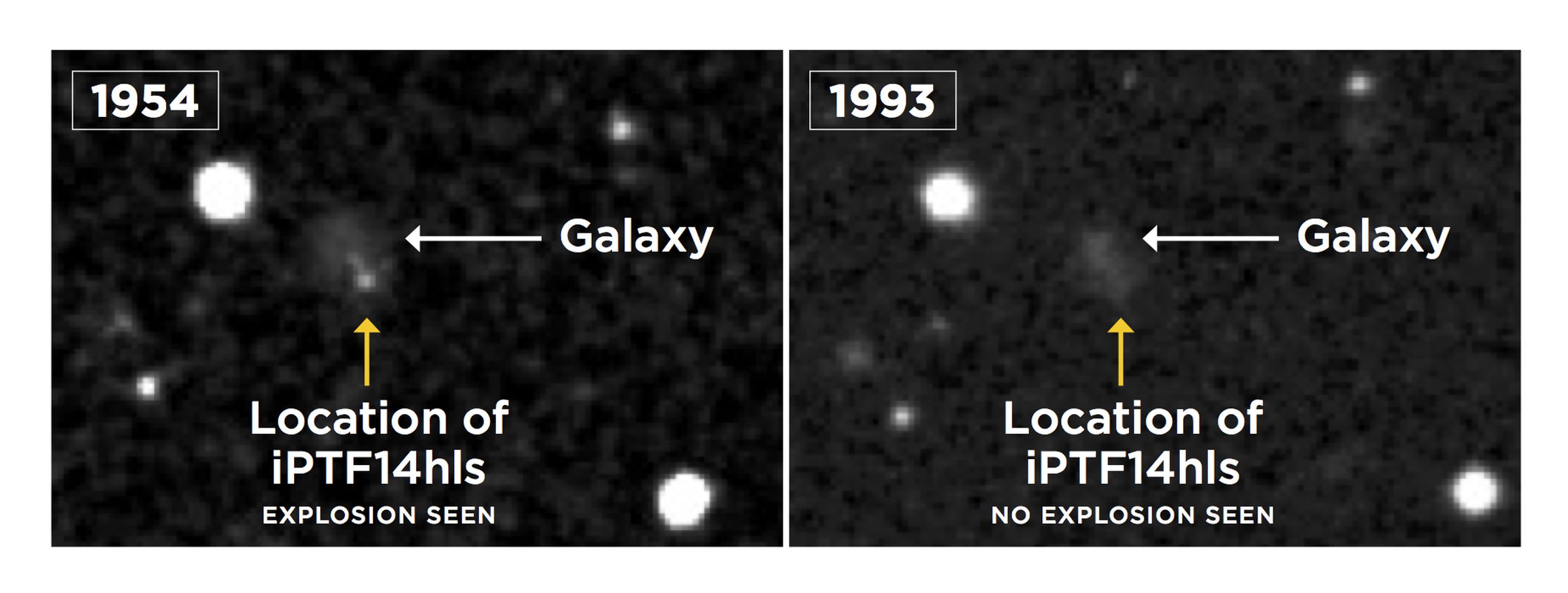 An image of the supernova in 1954, compared to 1993 when it was dark.
