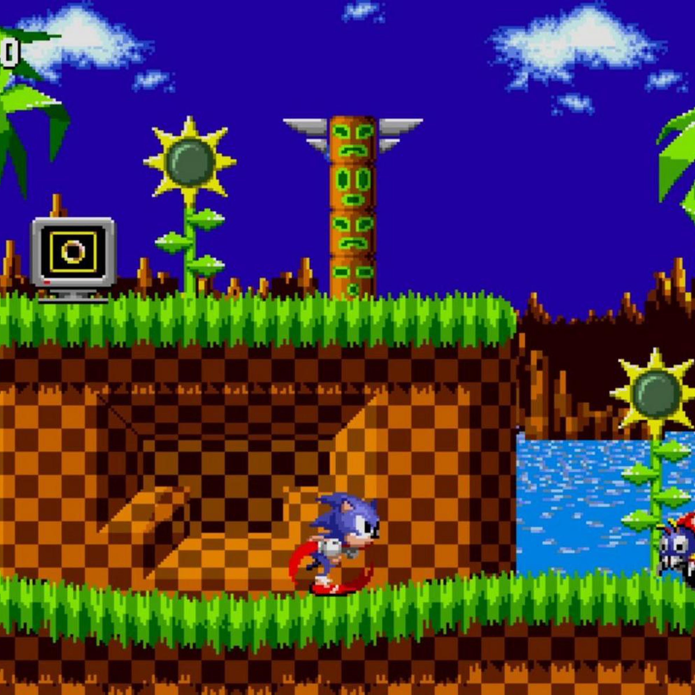 Screenshot from Sonic the Hedgehog game