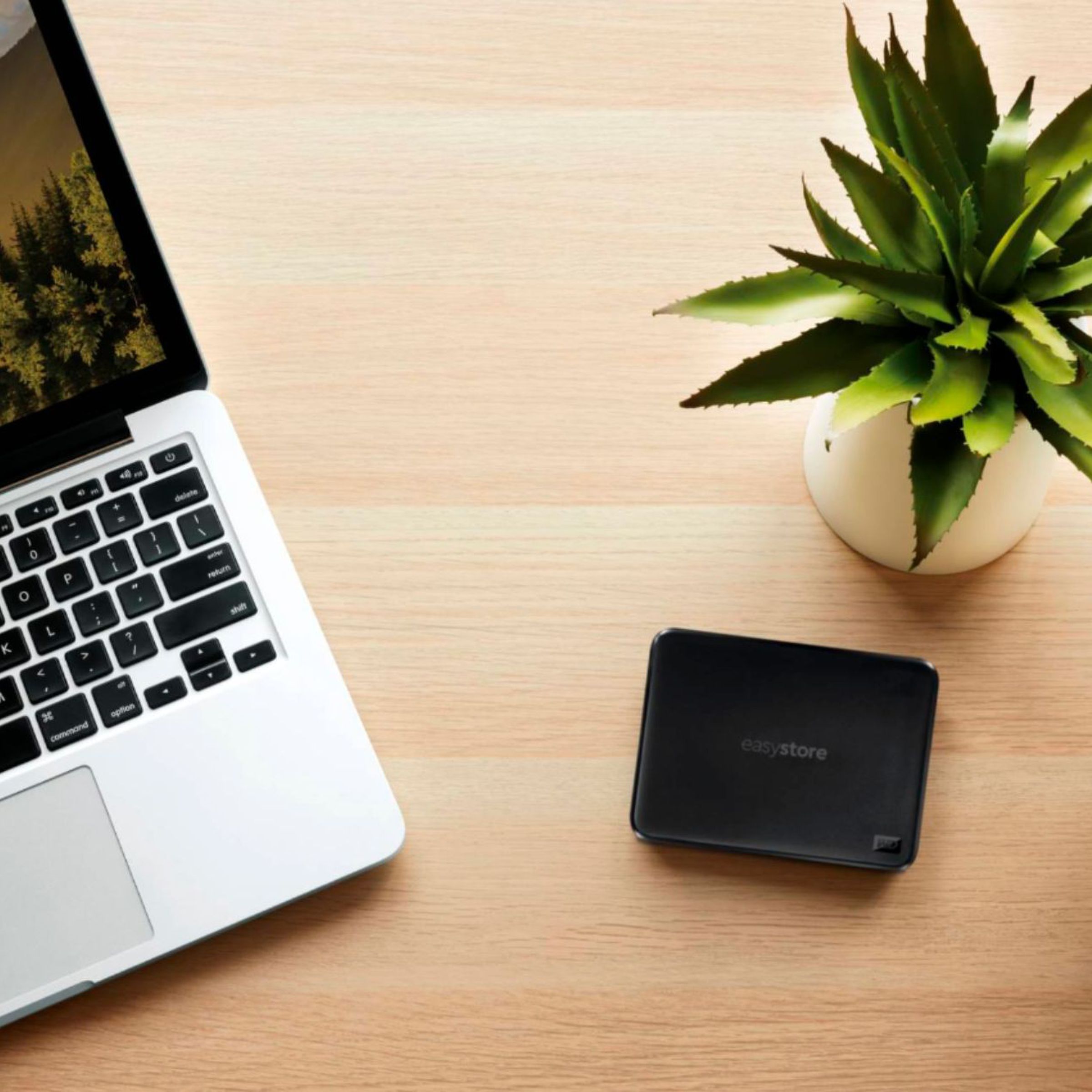 A picture of the Western Digital hard drive on a desk near a laptop, a plant, and pencils.