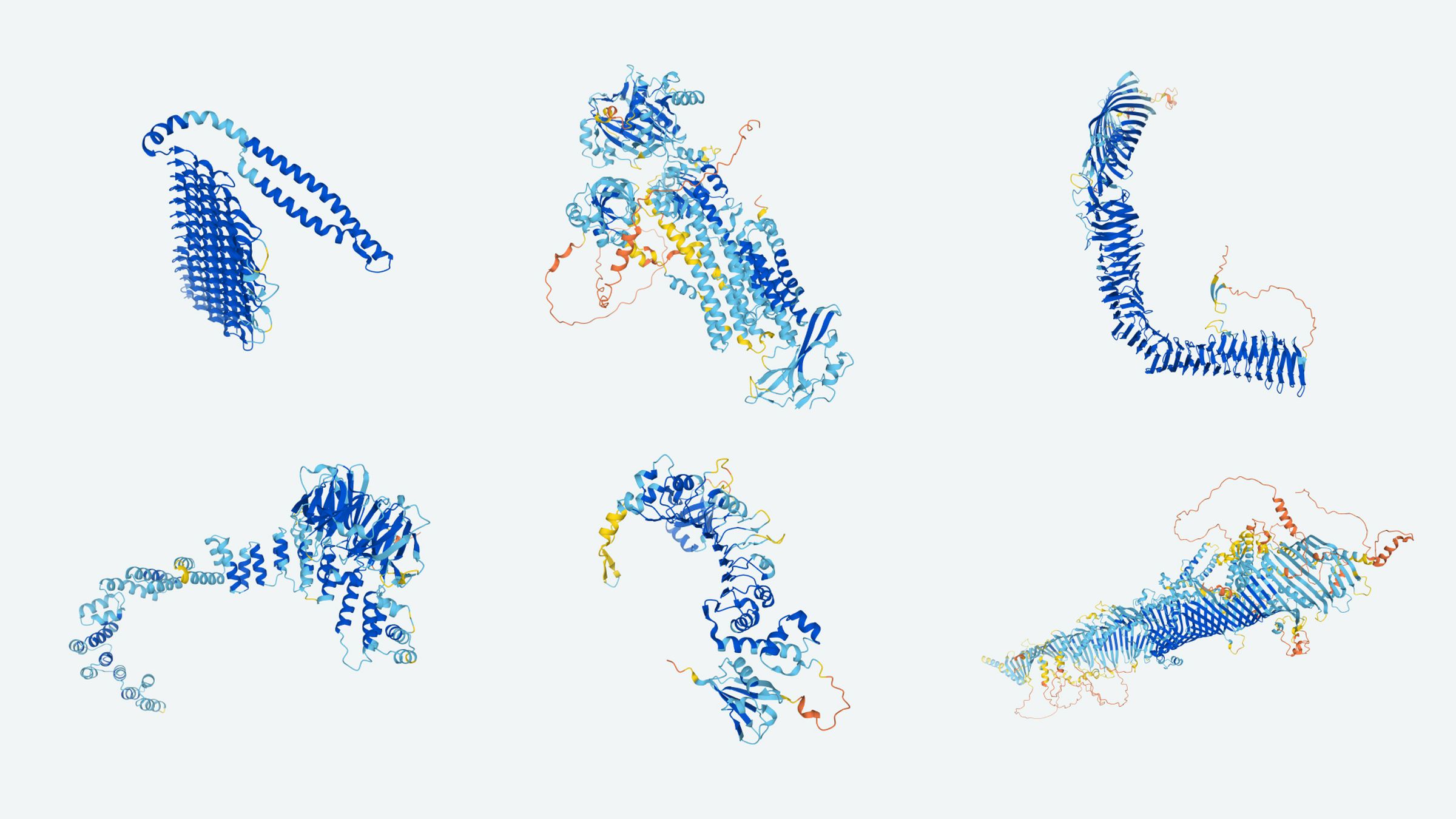 Example protein structures predicted by AlphaFold. 