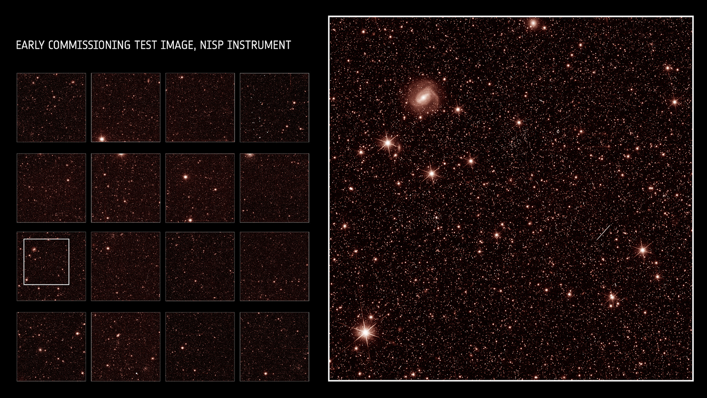 Öklid tarafından çekilmiş kızılötesi görüntüleri gösteren bir küçük resim ızgarası (solda), sağda bir görüntünün yakın çekimi.