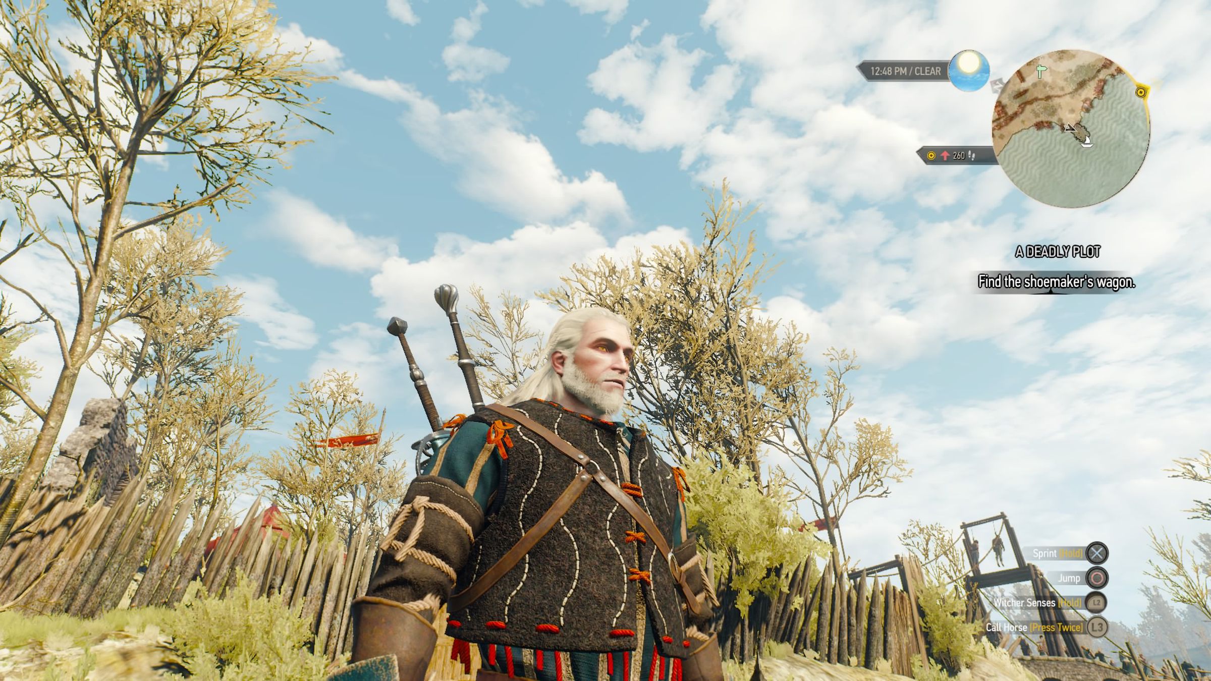 The Witcher 3 beard