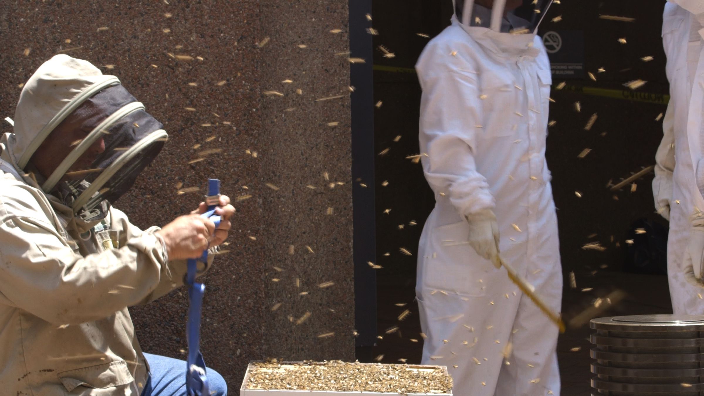 Beekeepers at work.