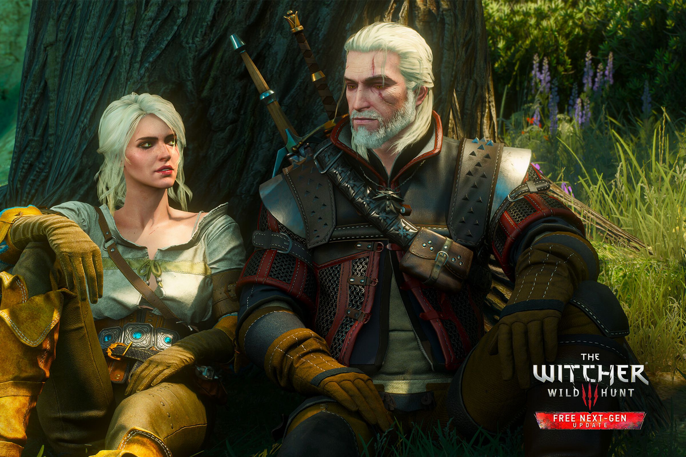 A screenshot from The Witcher 3: Wild Hunt.