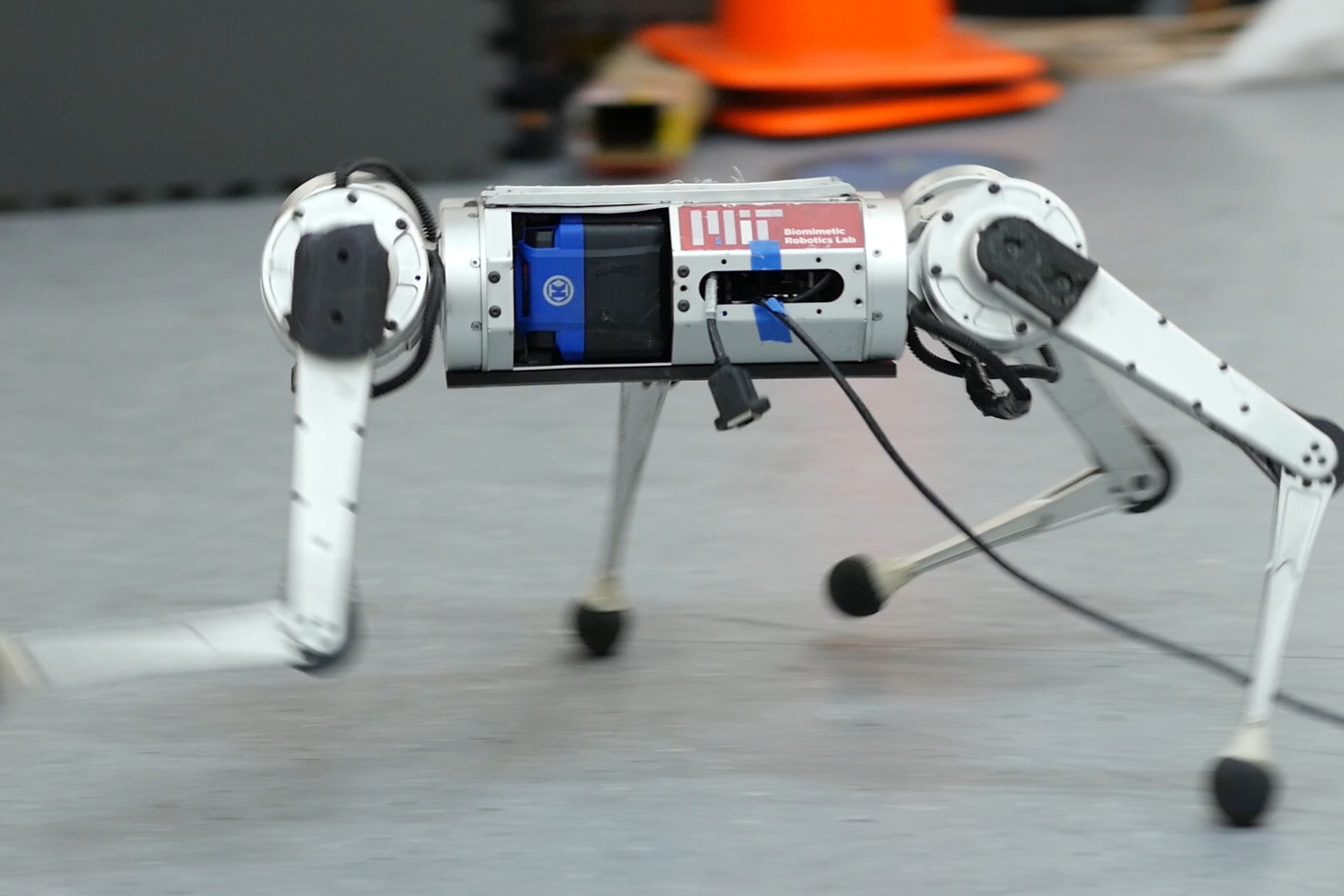 MIT’s Mini Cheetah robot takes off running. 