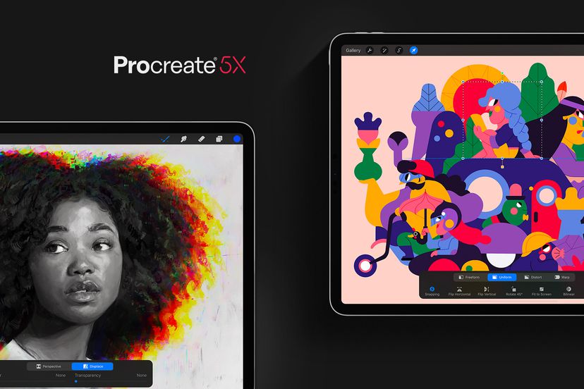 Procreate 5X adds new filters and a handy reference companion view ...