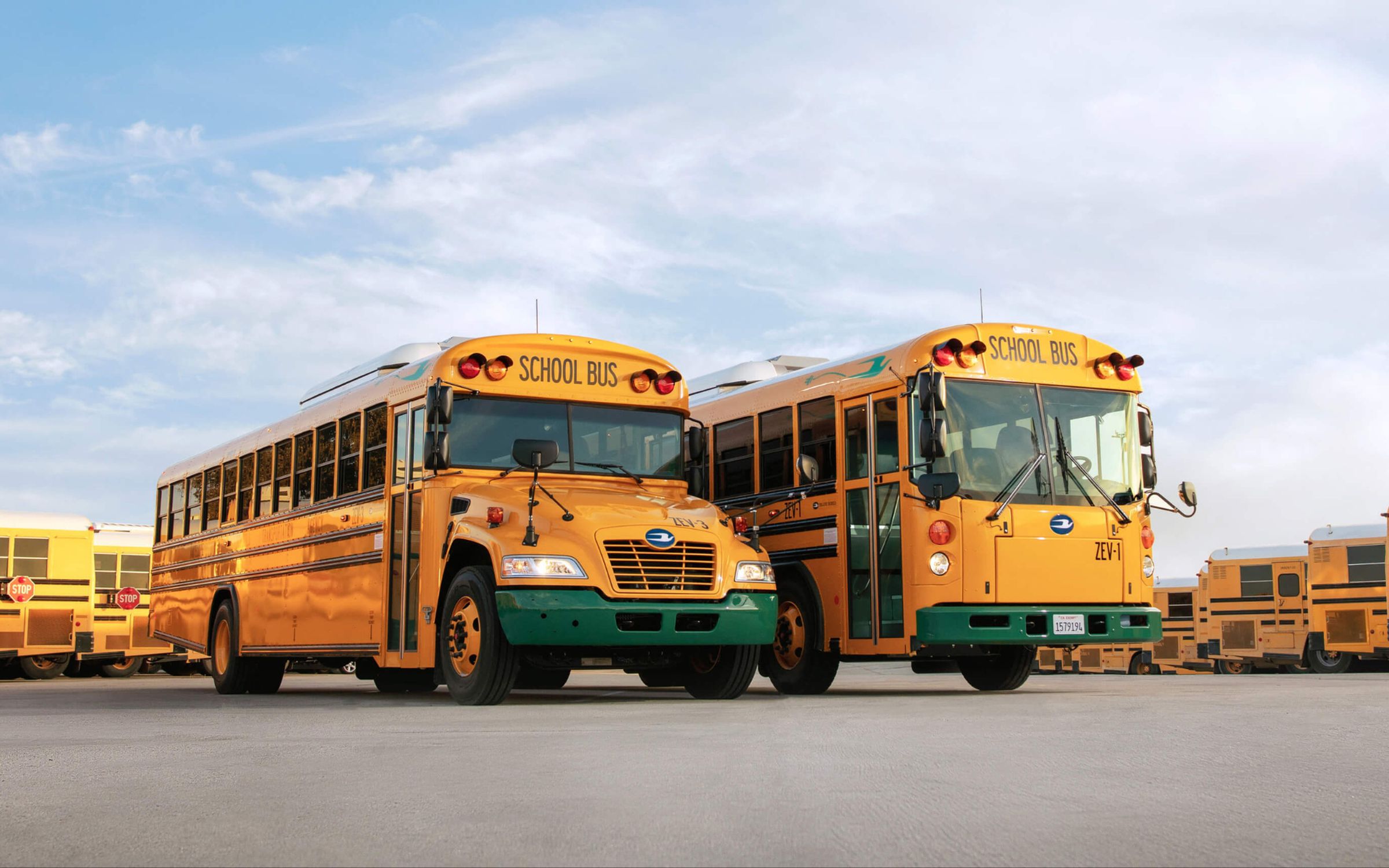 A photograph of the Blue Bird Vision Electric (Type C) and the All American RE Electric (Type D) yellow school buses.