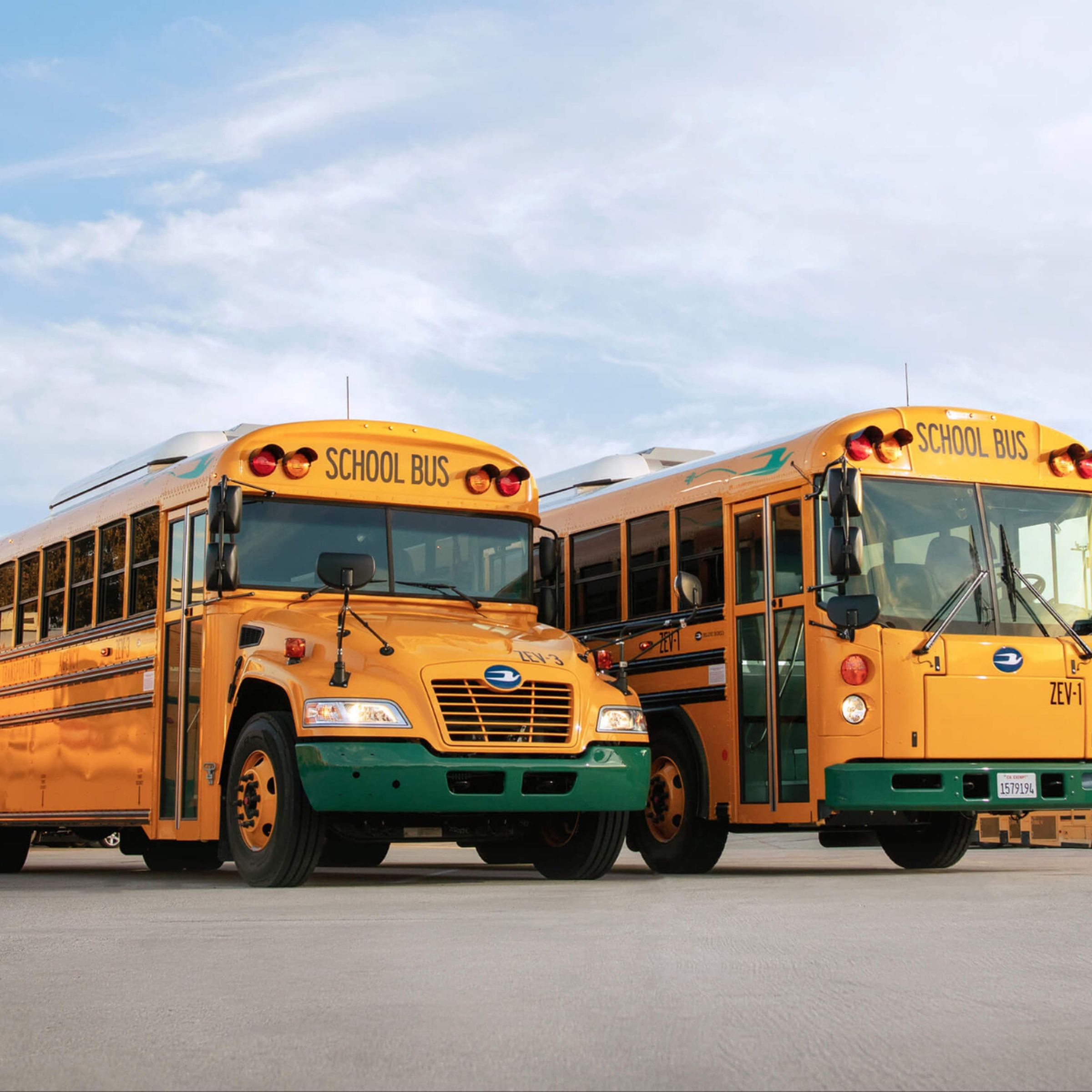 A photograph of the Blue Bird Vision Electric (Type C) and the All American RE Electric (Type D) yellow school buses.