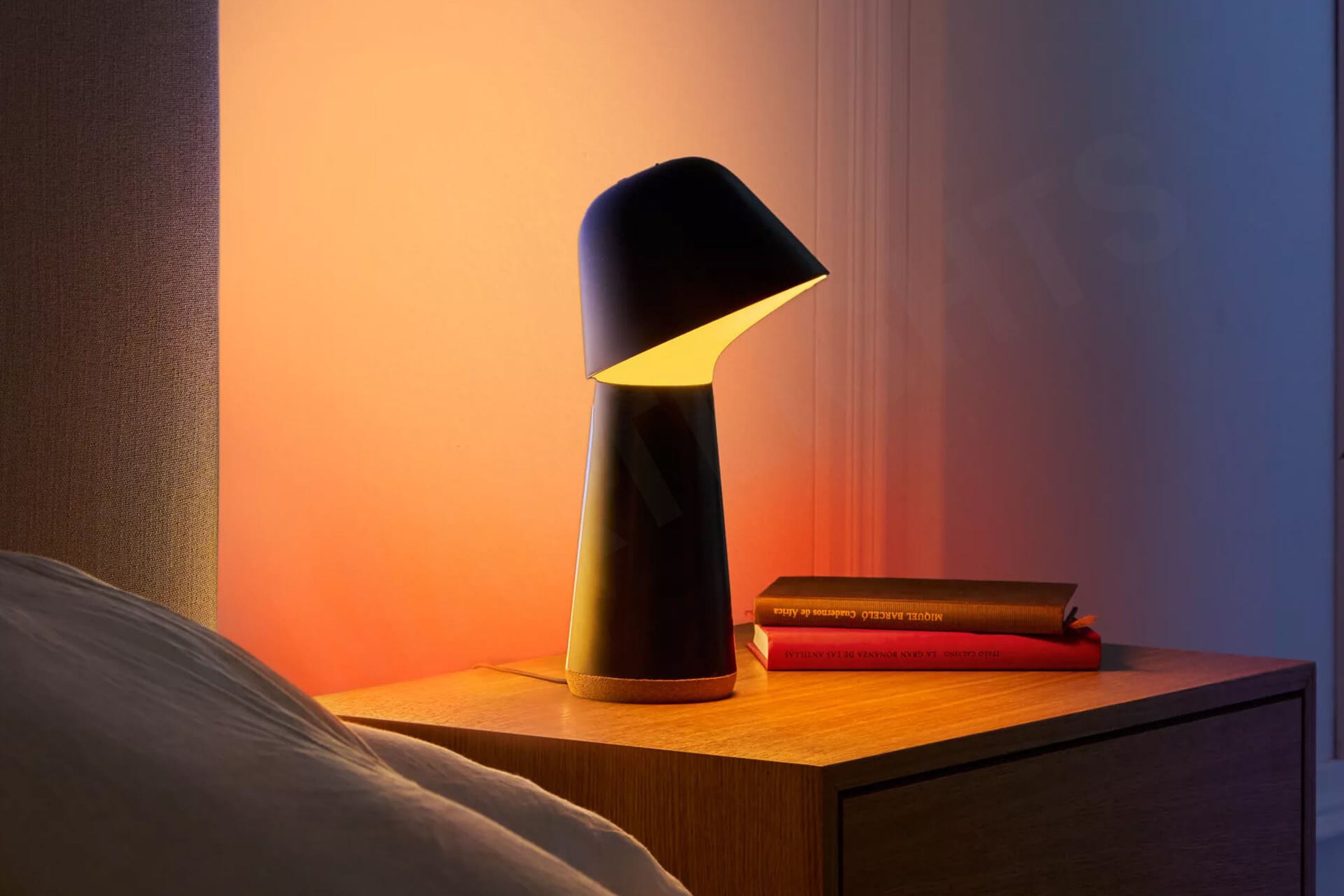 A picture of the Twilight sitting on a bedside table.