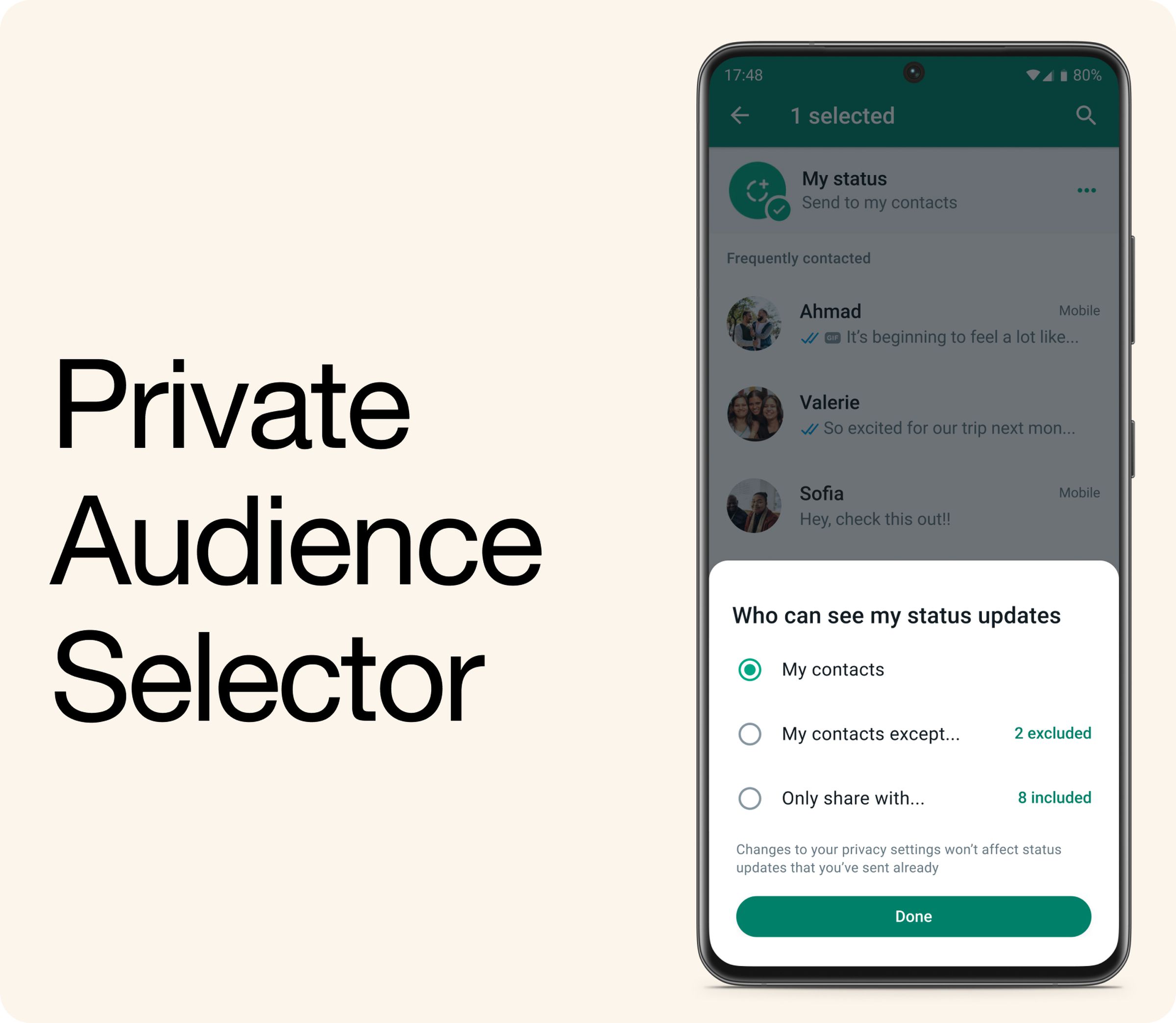 Screenshot of the private audience selector. whatsapp