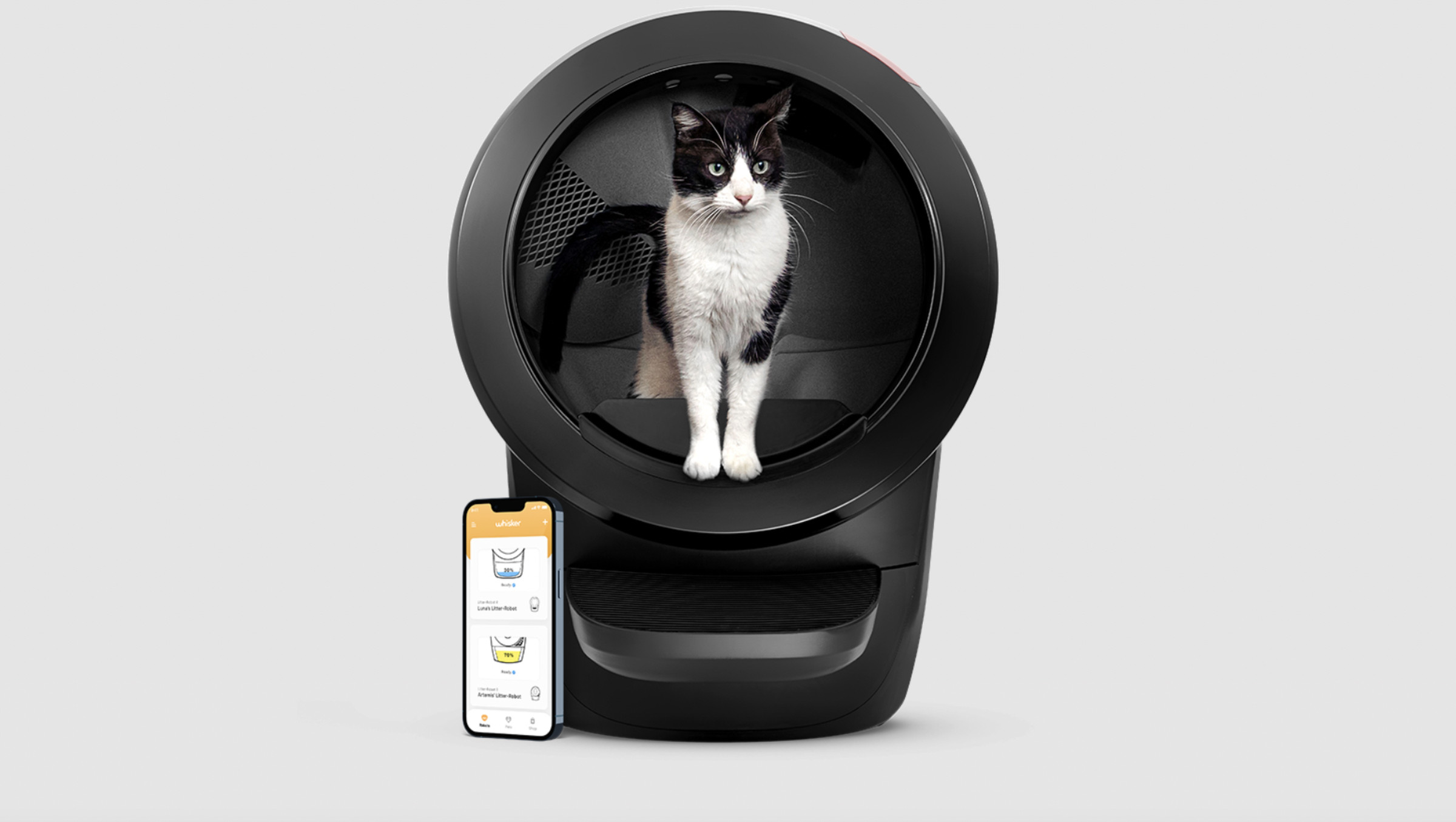 Cat looking out from Litter Robot 4.