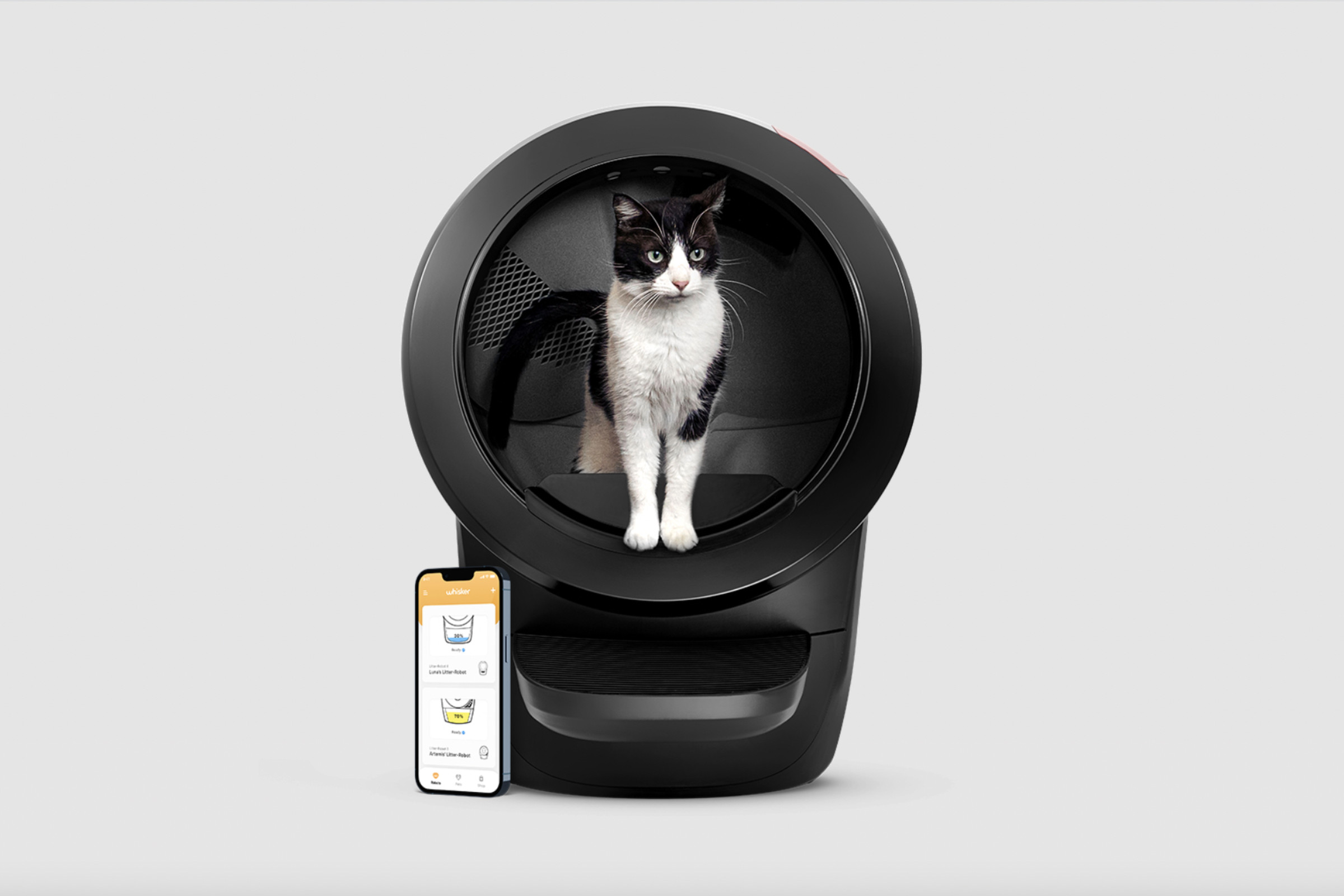 Cat looking out from Litter Robot 4.