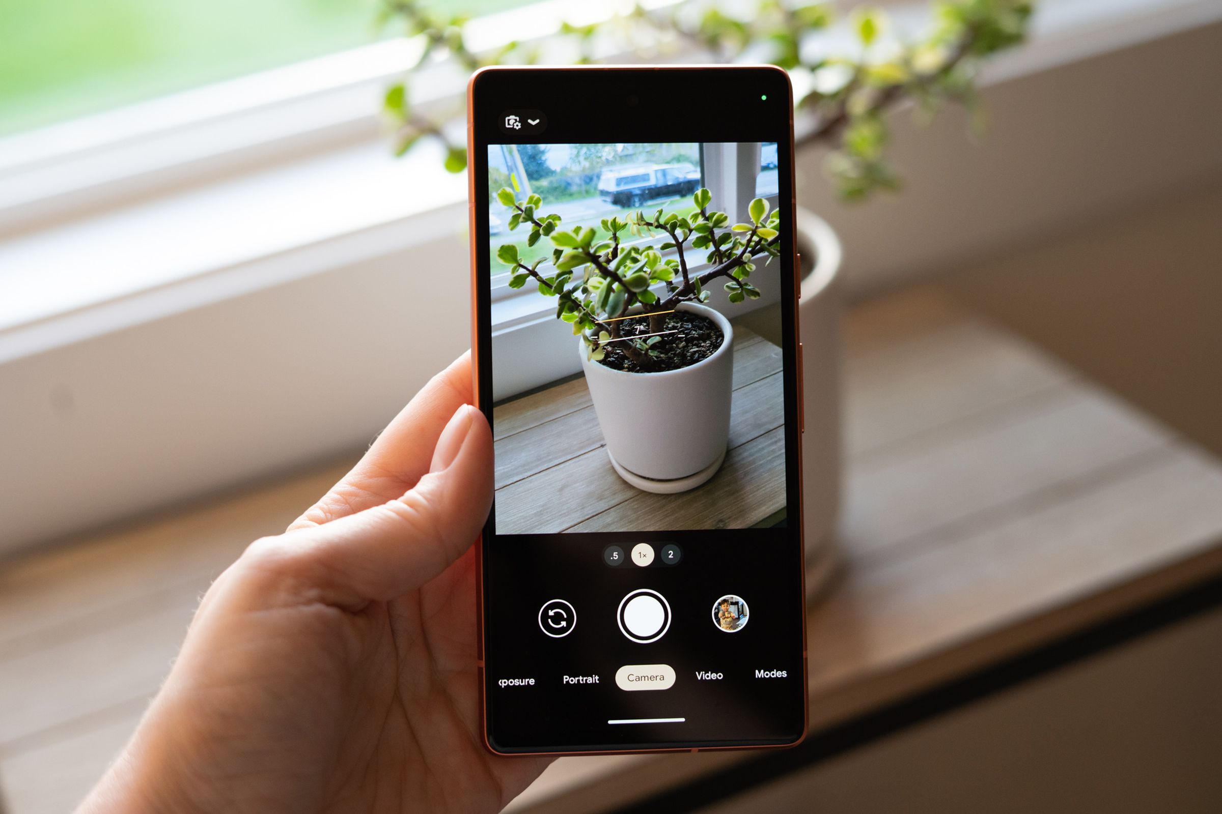 Pixel 7A camera mode taking a picture of a house plant.