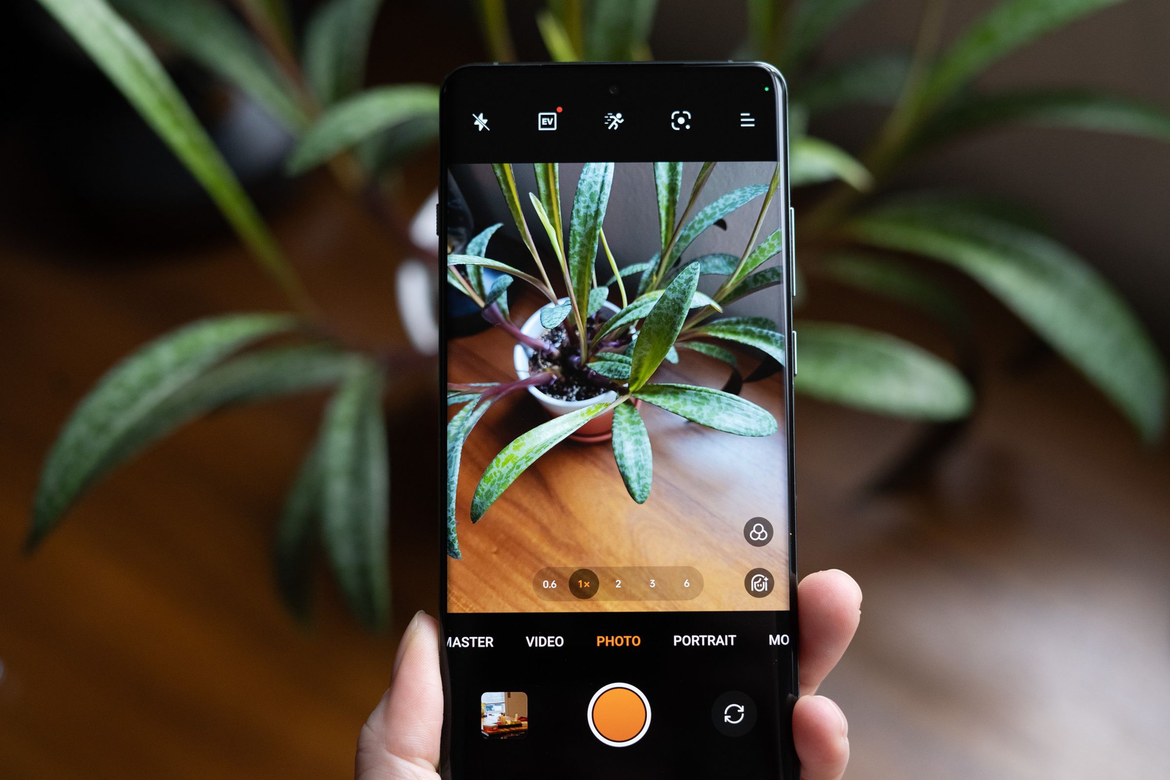 OnePlus 12 in hand with the camera on and a plant on-screen in the camera app.